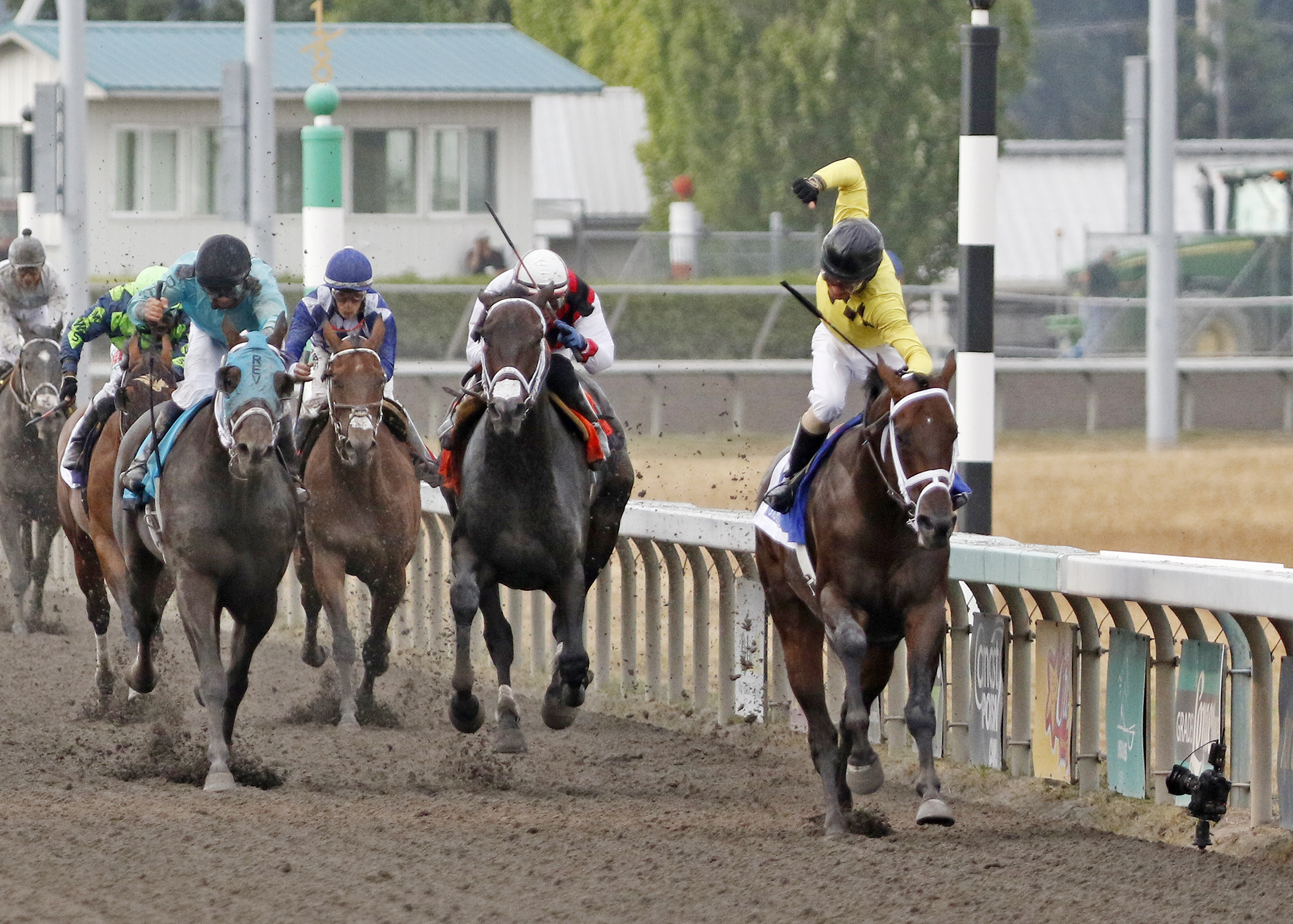 Gold Rush Dancer wins the 2017 Longacres Mile