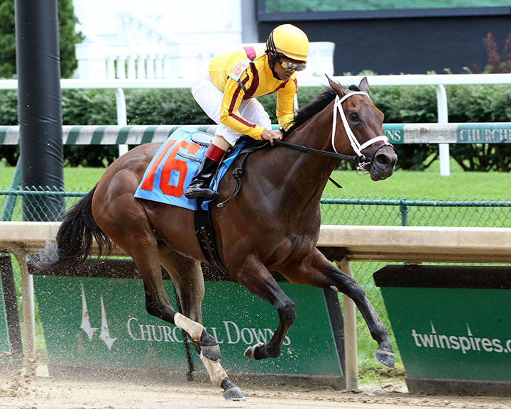 Gold Standard wins a June 8 maiden race at Churchill Downs