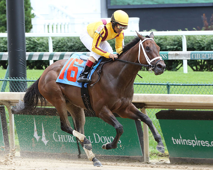 Gold Standard wins a June 8 maiden race at Churchill Downs