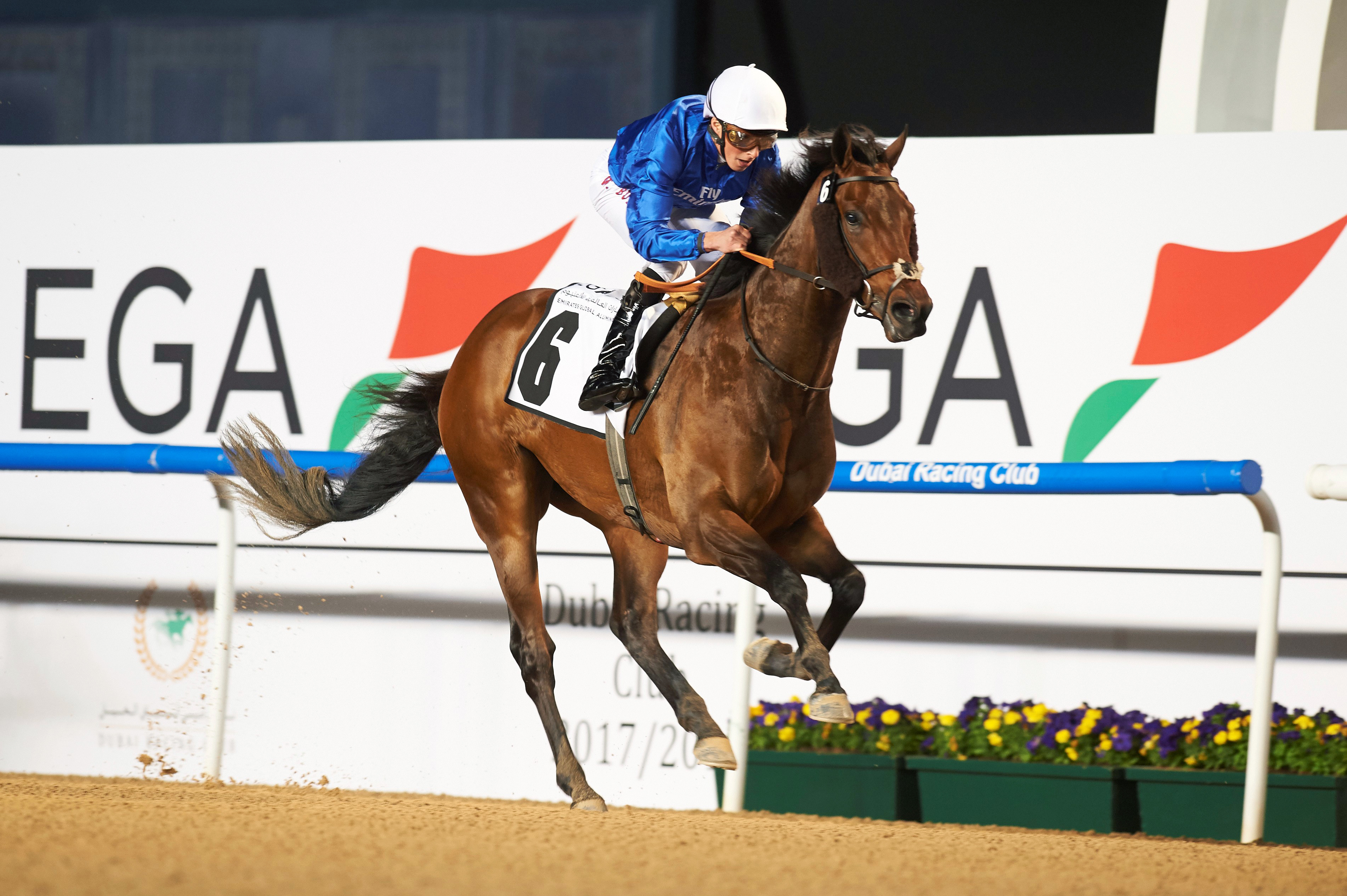 Gold Town wins the first division of the UAE 2000 Guineas Trial