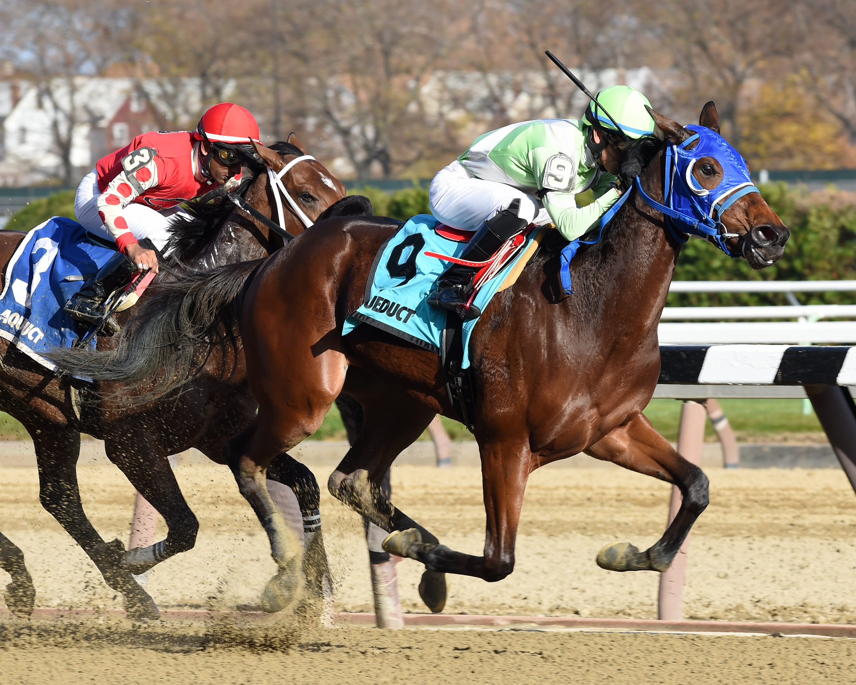 Gold for the King wins the Notebook Stakes