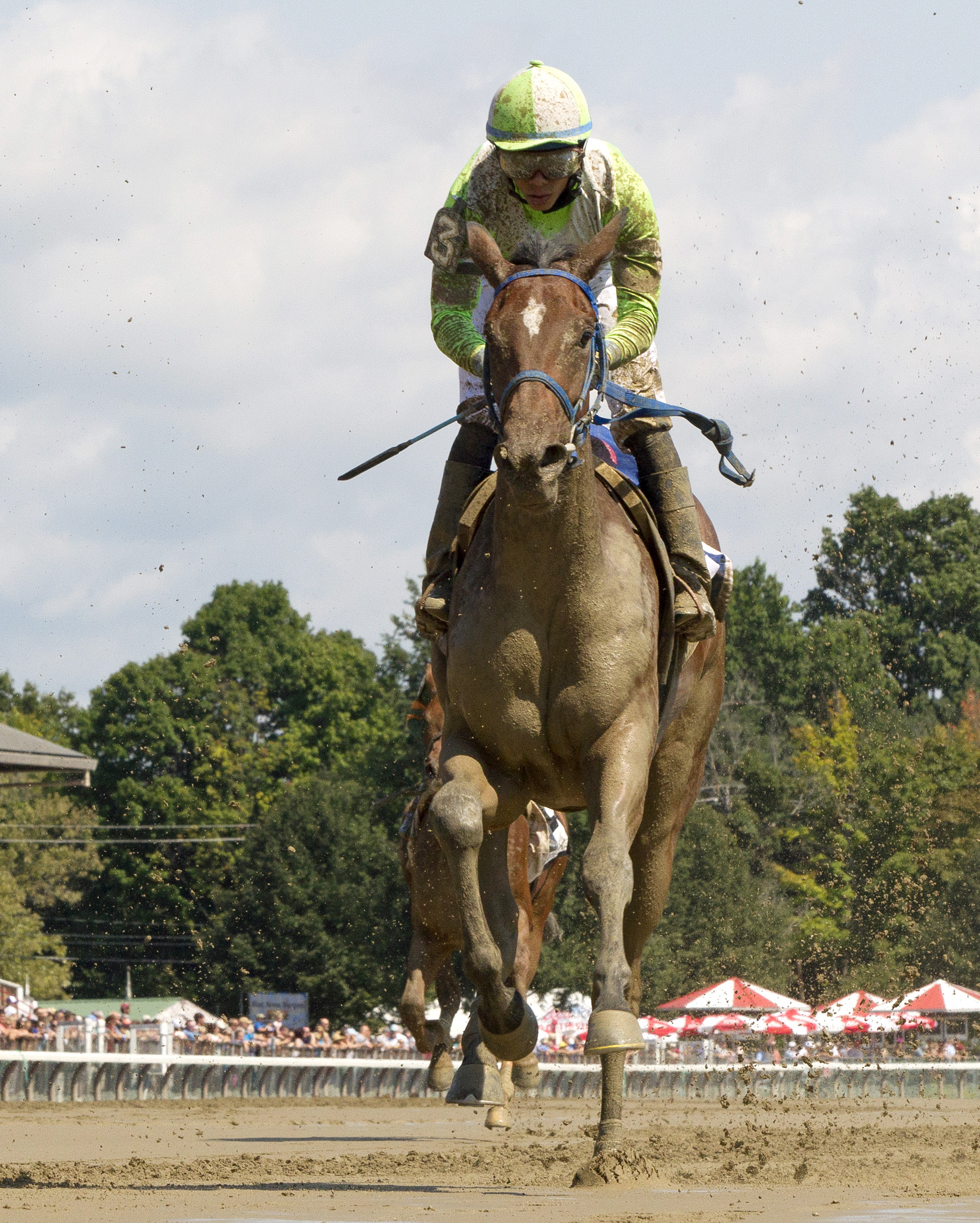 Gold for the King finishes third in the Funny Cide Stakes