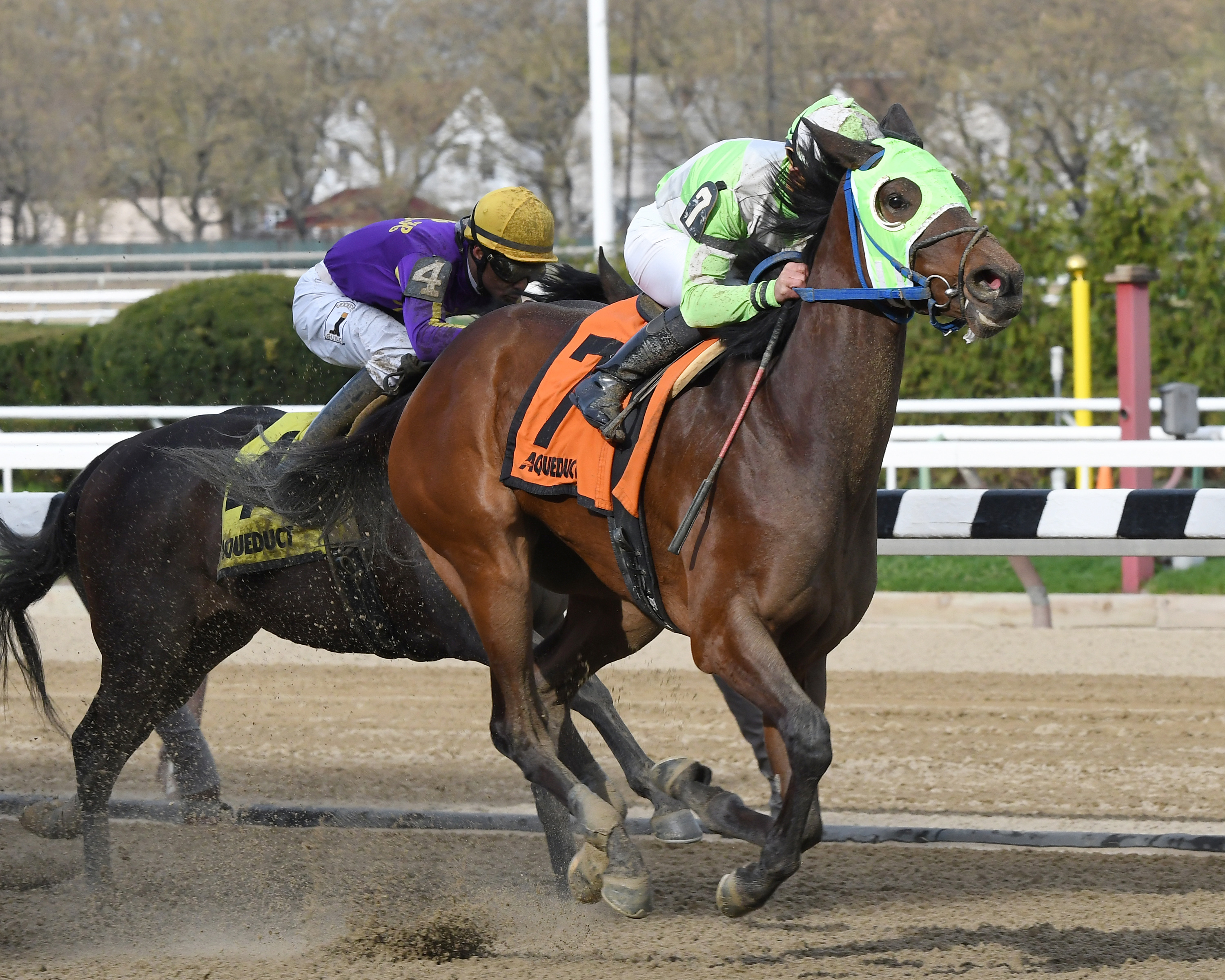 Gold for the King wins the 2016 Times Square Stakes