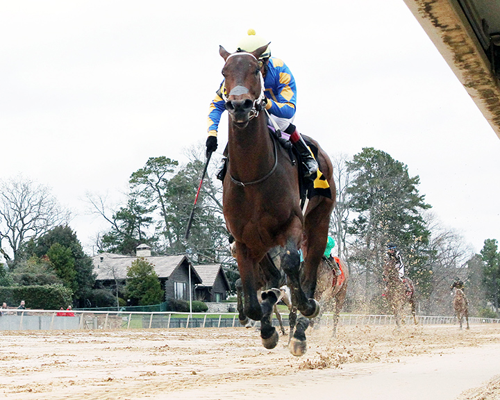 Gold Street wins the 2020 Smarty Jones Stakes at Oaklawn Park