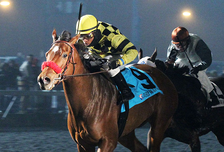 Goldberry wins the 2018 Holiday Inaugural
