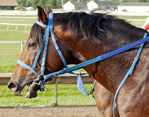 Golddigger's Boy 9-22-2012