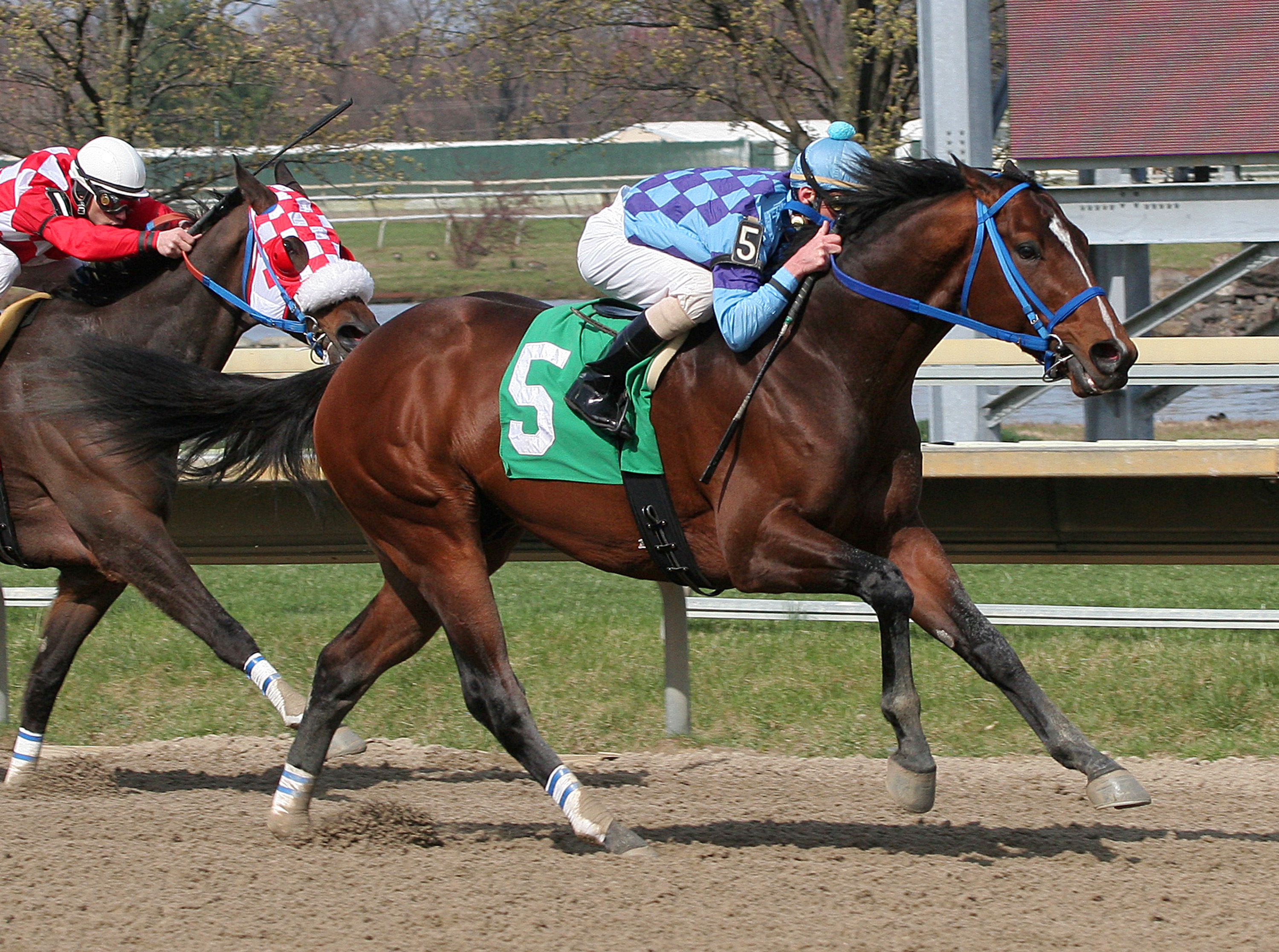 Golddigger's Boy 4-9-2011
