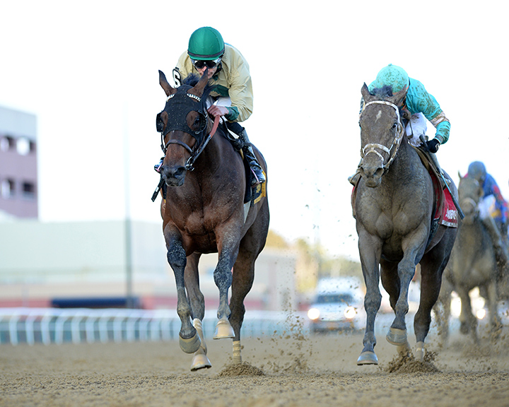 Golden Award (left) wins the 2019 Turnback the Alarm Stakes at Aqueduct Racetrack