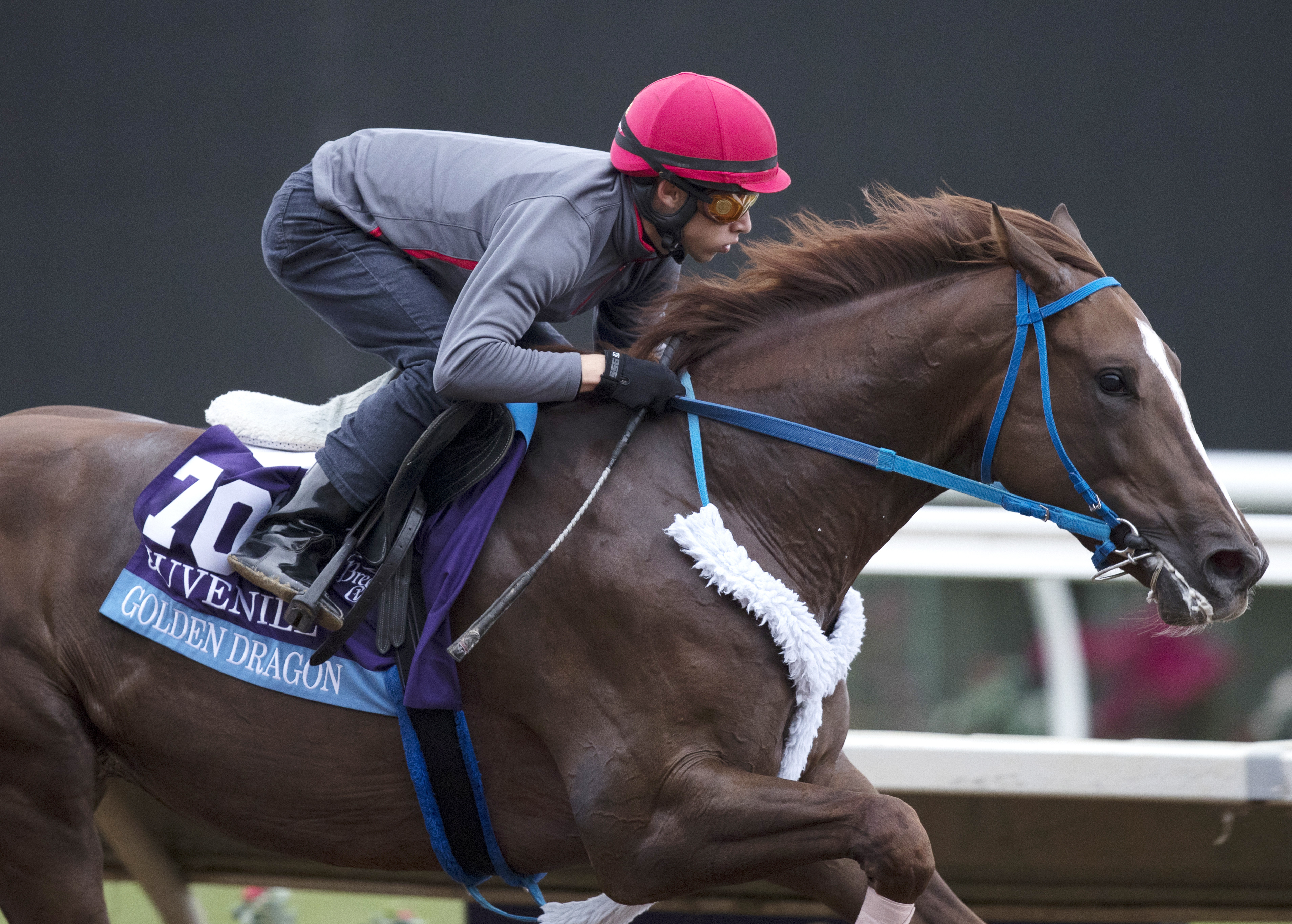 Golden Dragon trains at Del Mar on Oct. 30