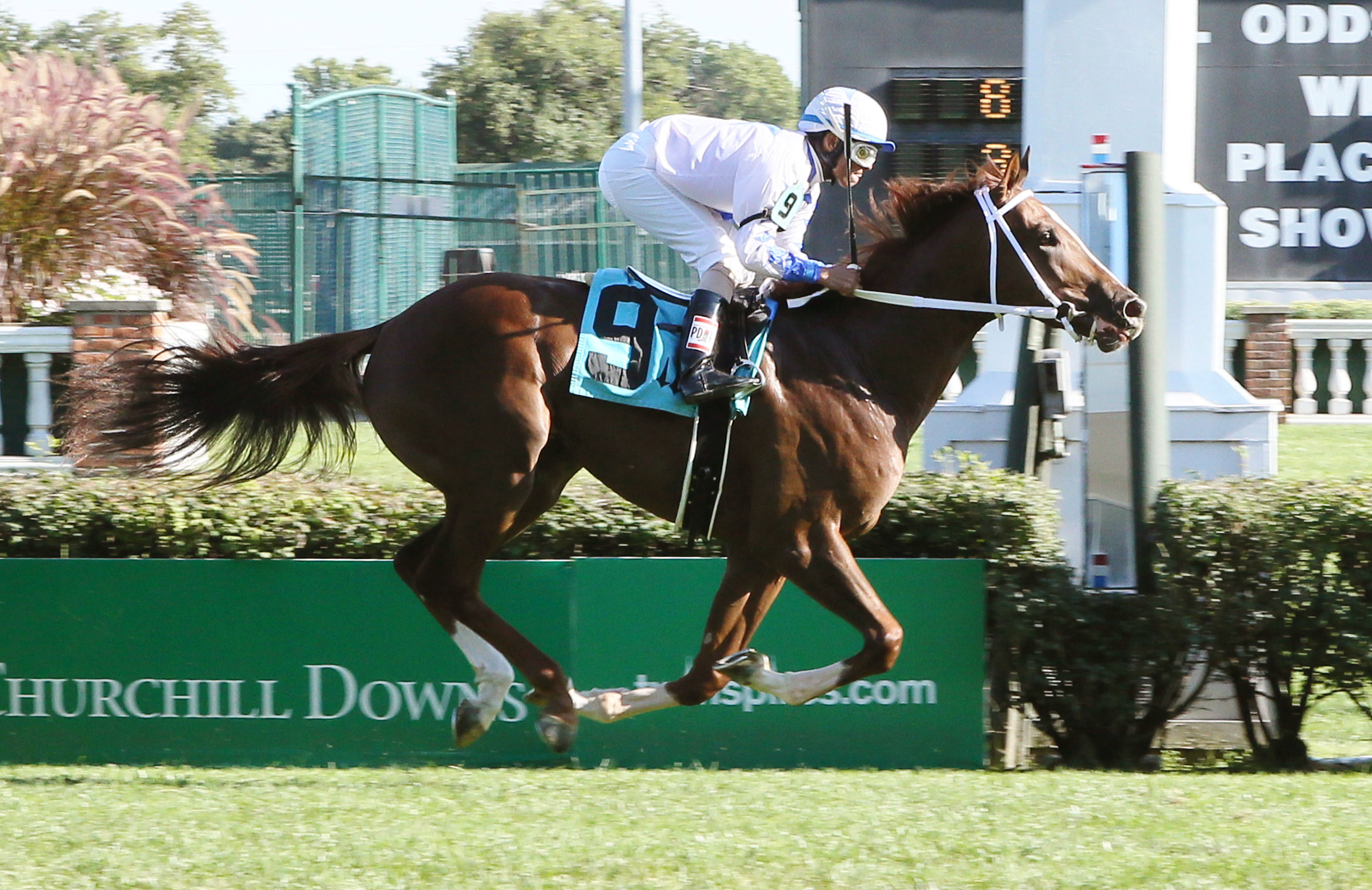 Golden Dragon wins a Sept. 29 allowance race