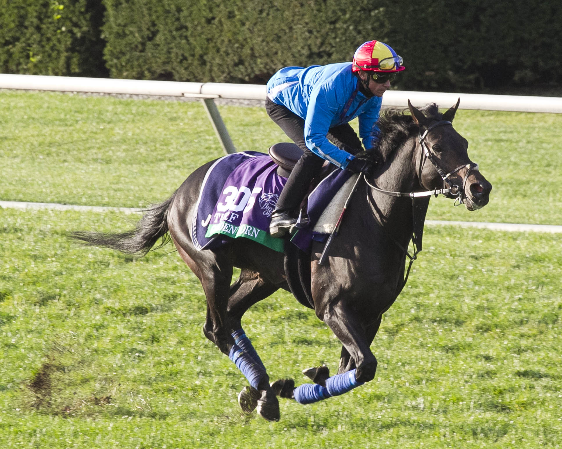 Golden Horn