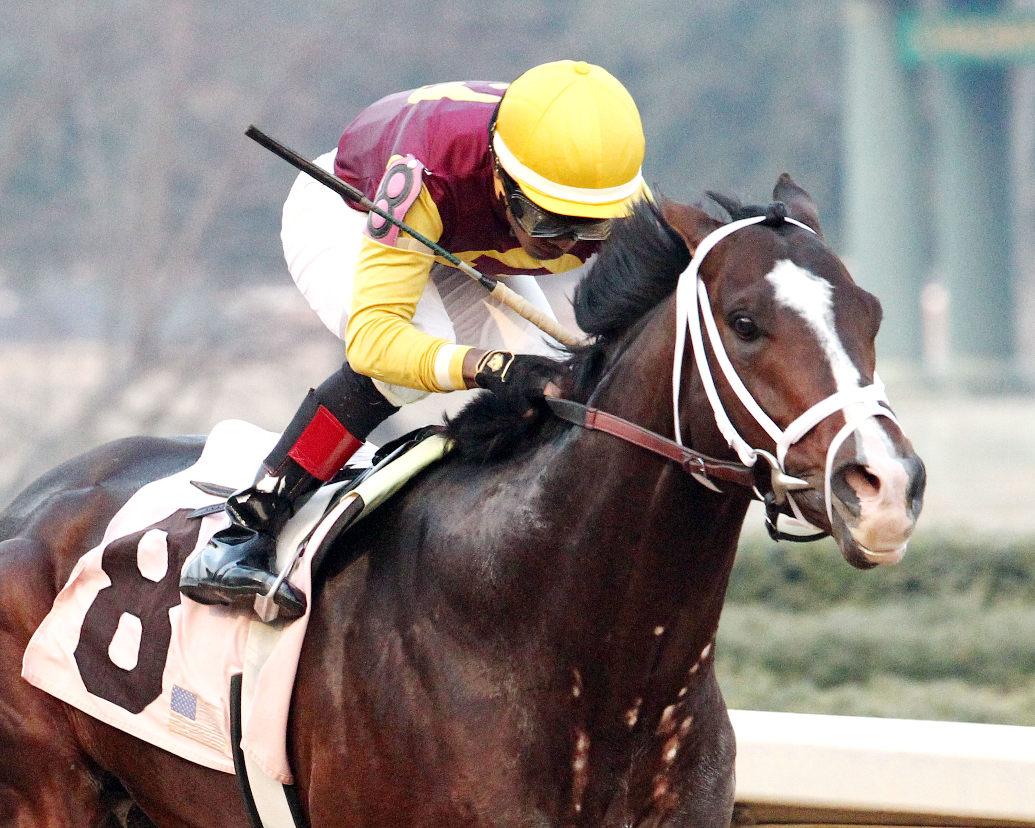 Golden Lad wins 2015 Essex