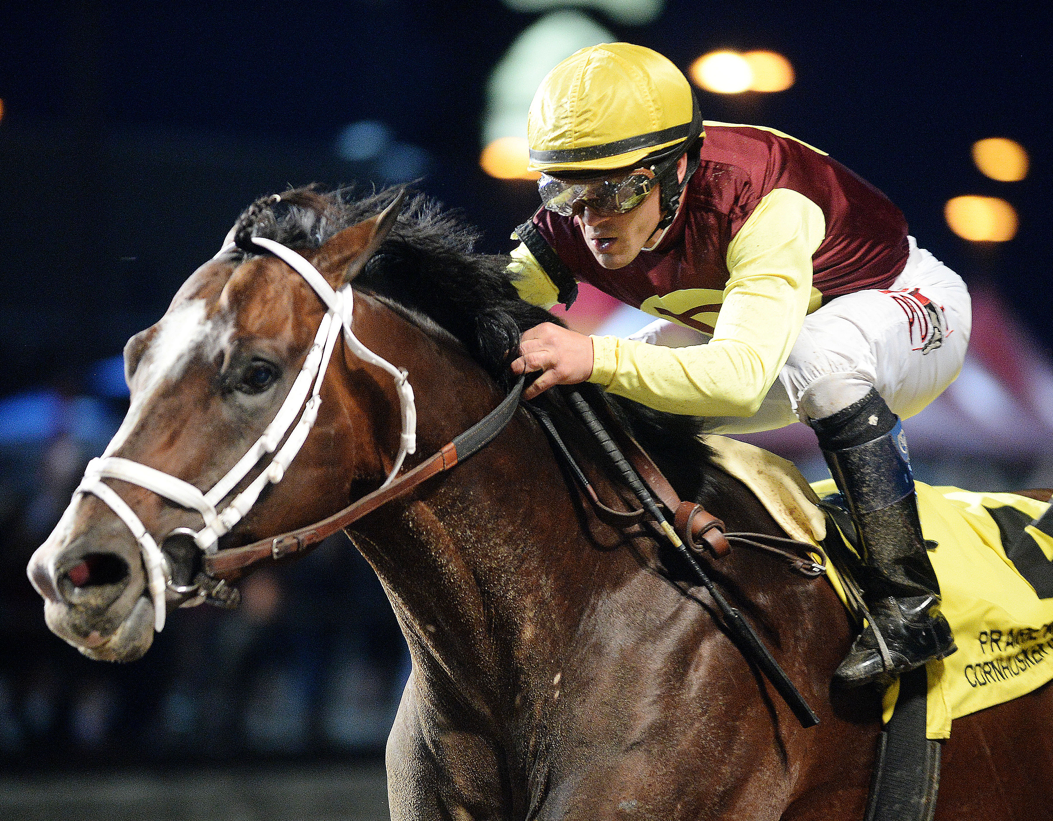 Golden Lad wins the Cornhusker Handicap
