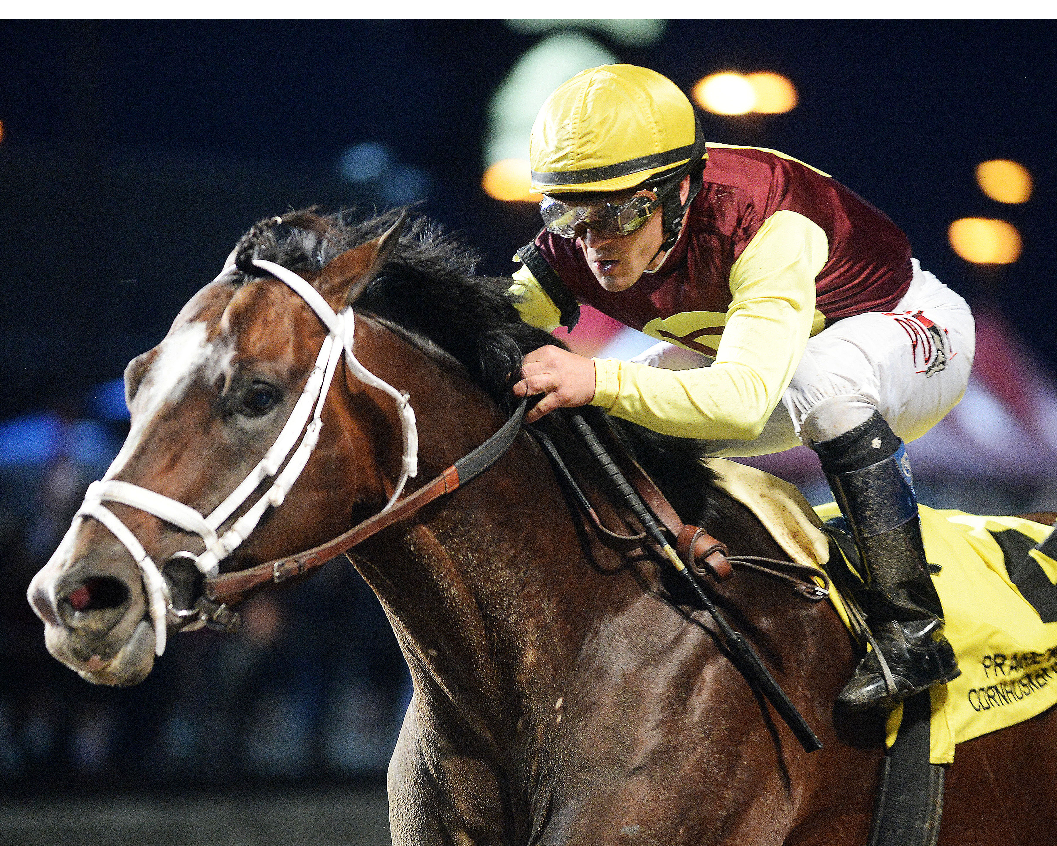 Golden Lad wins the Prairie Meadows Cornhusker Handicap