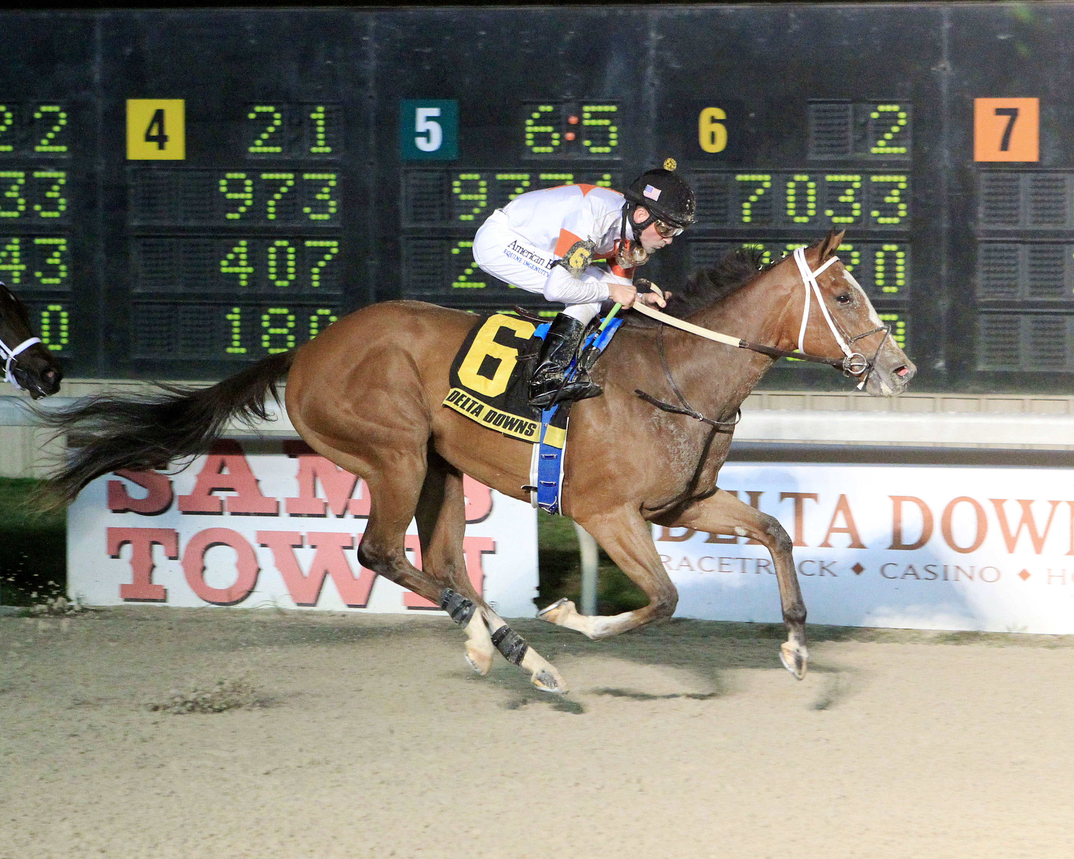 Golden Mischief wins the My Trusty Cat