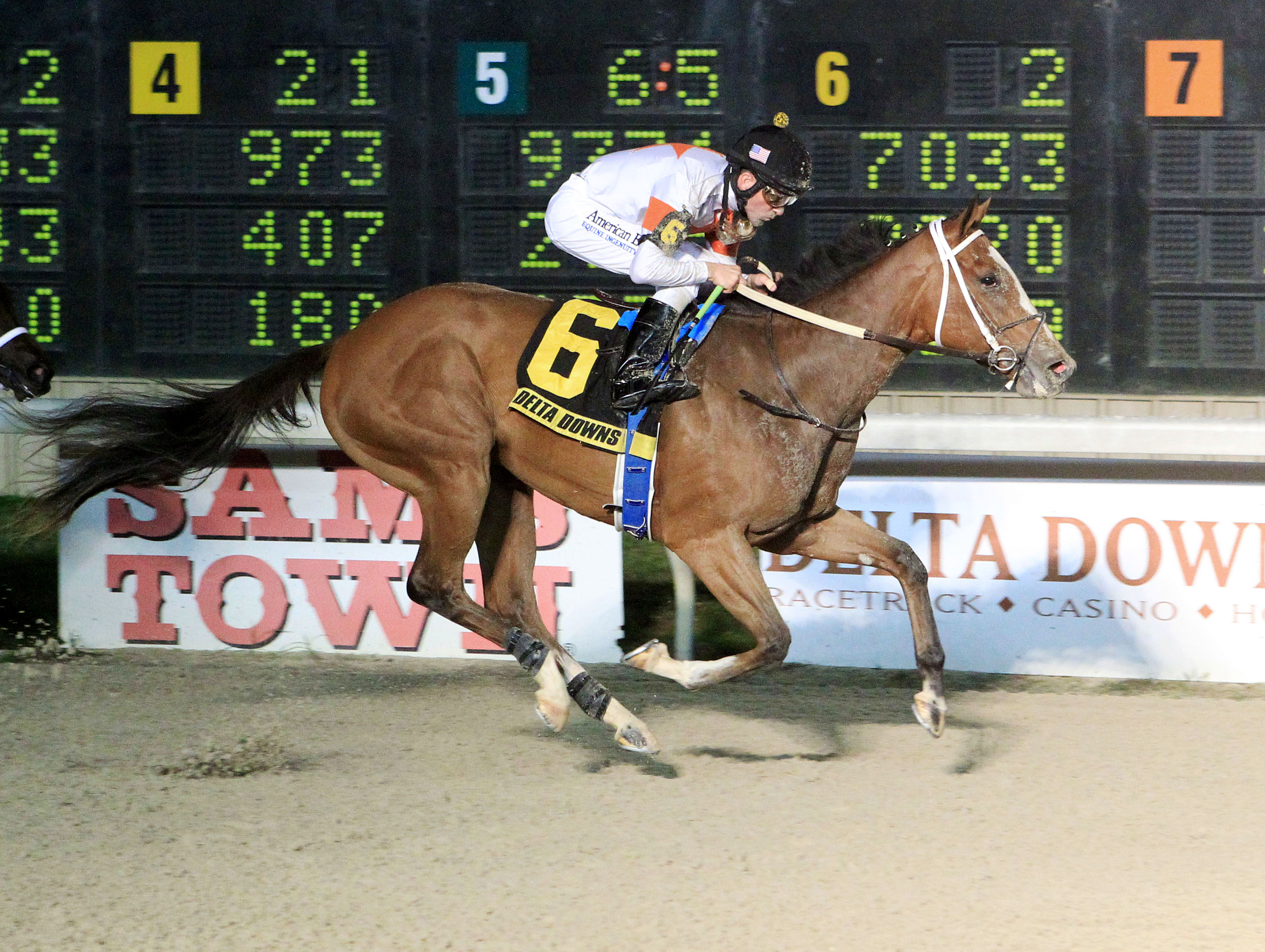 Golden Mischief wins the My Trusty Cat