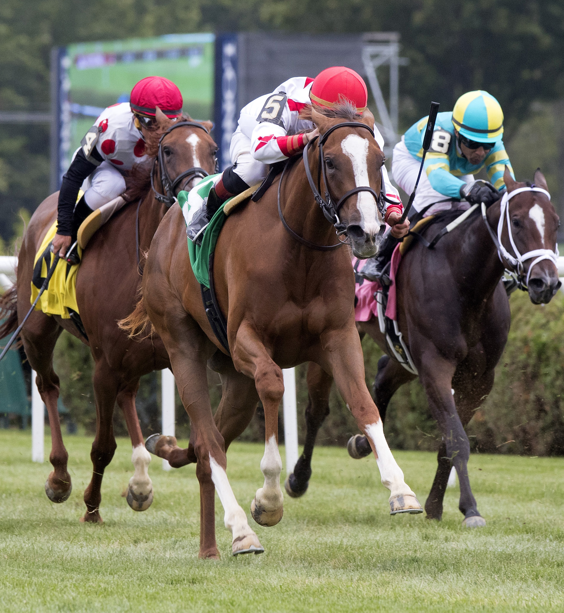 Golden Orb wins a maiden race
