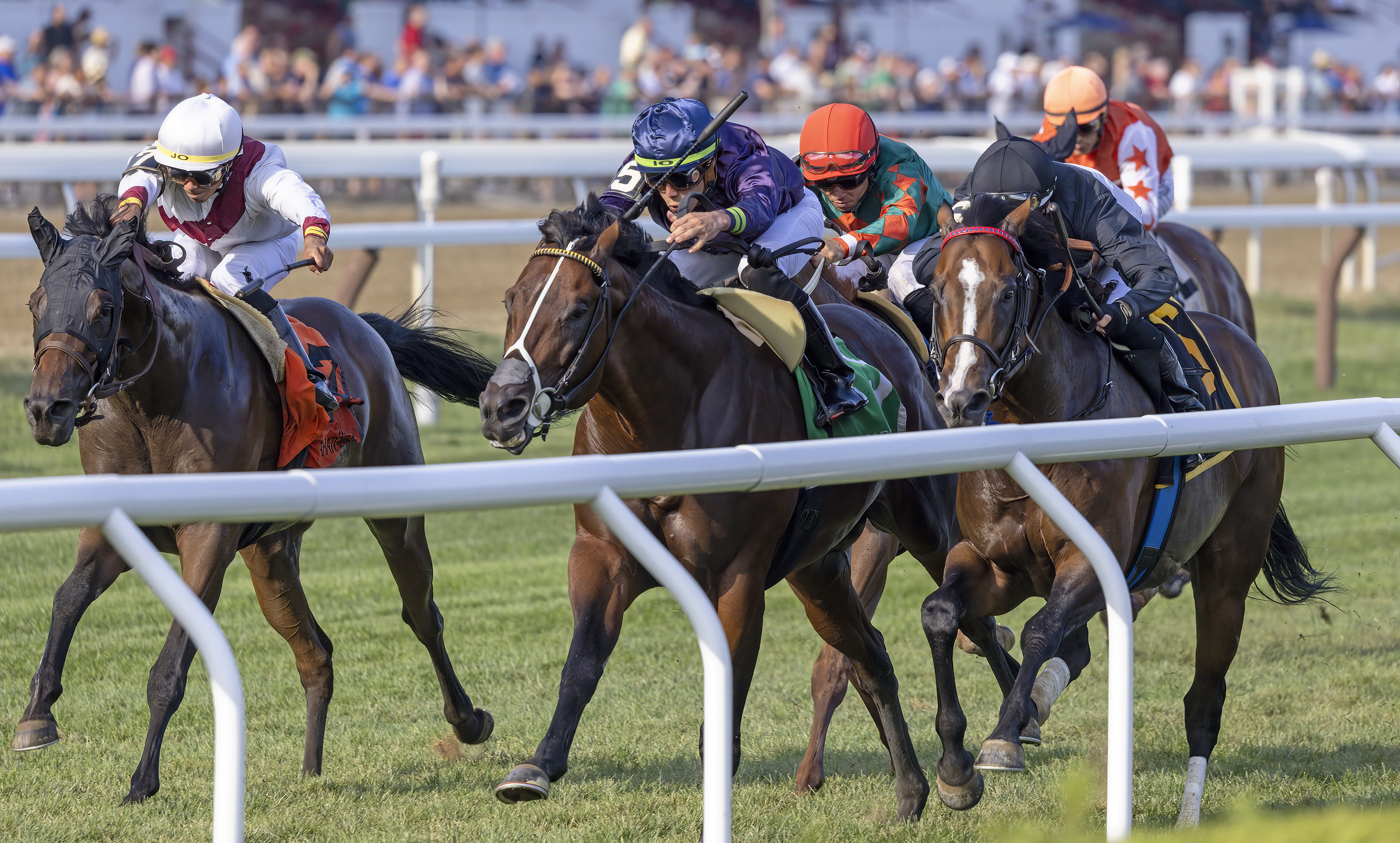 Golden Pal (center) wins Troy over True Valour (right) and Thin White Duke (left) Aug 5 2022