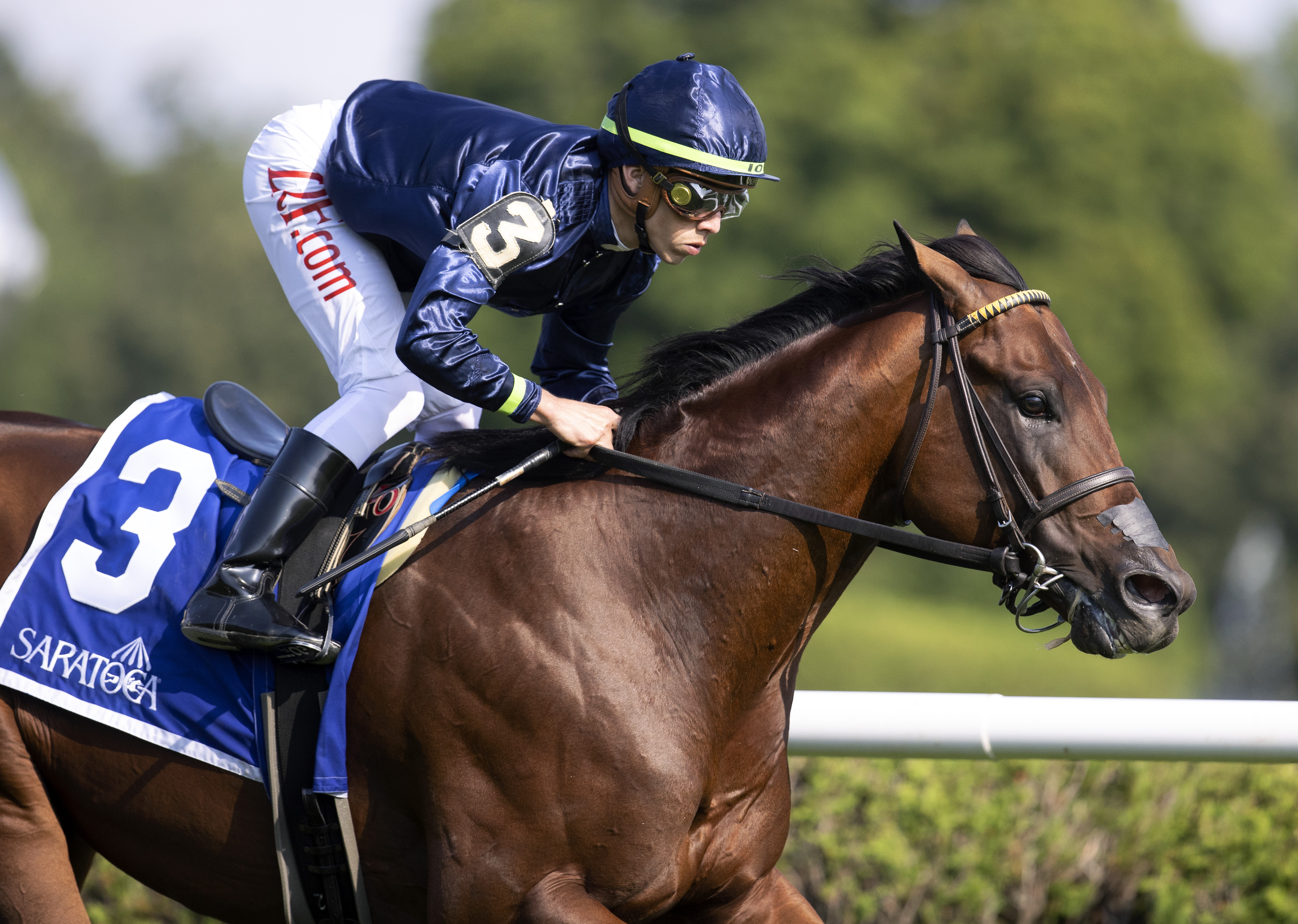 Golden Pal wins the Quick Call Stakes under Irad Ortiz Jr.7-15-2021