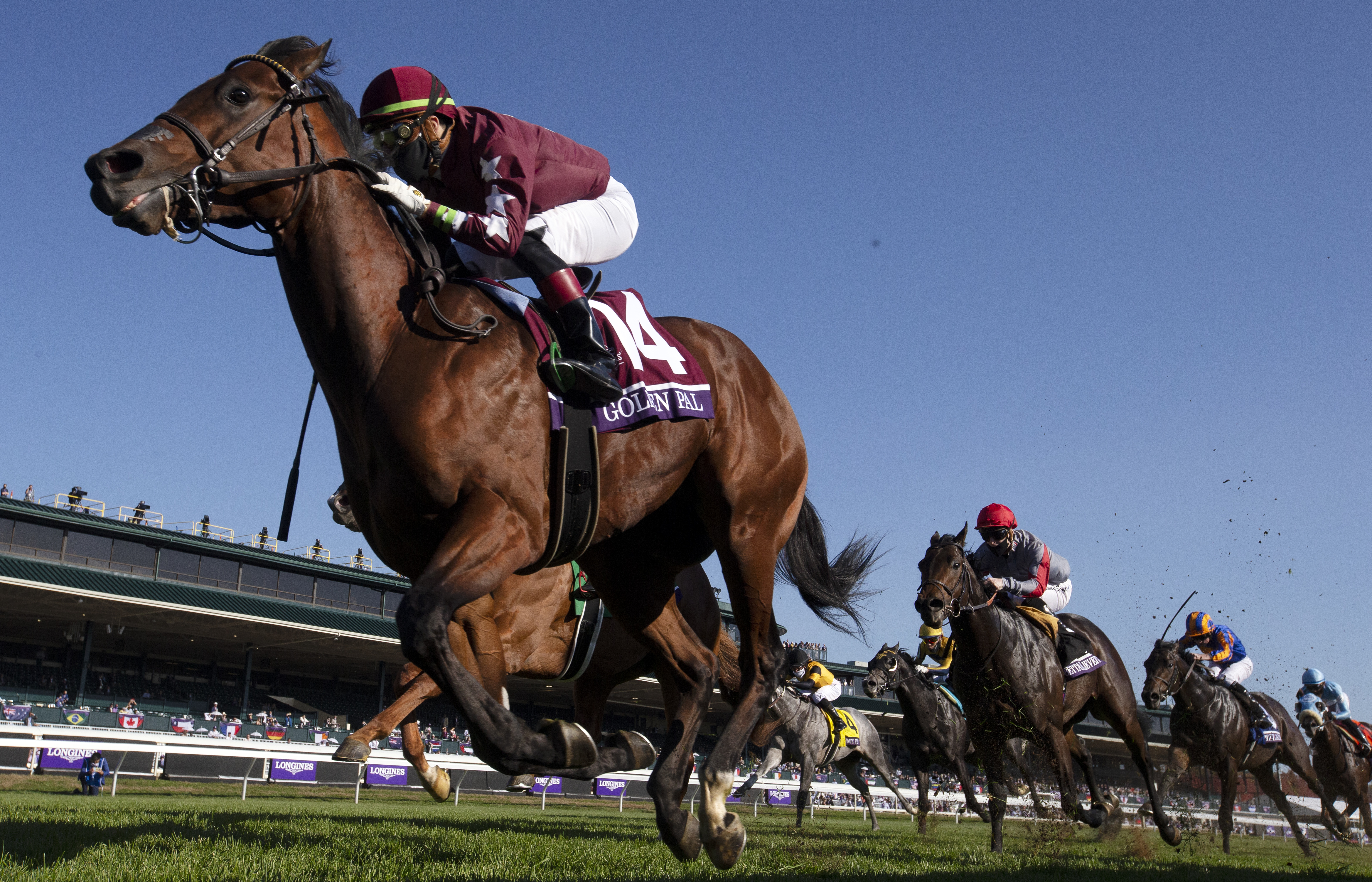 Golden Pal, BC Juvenile Turf Sprint