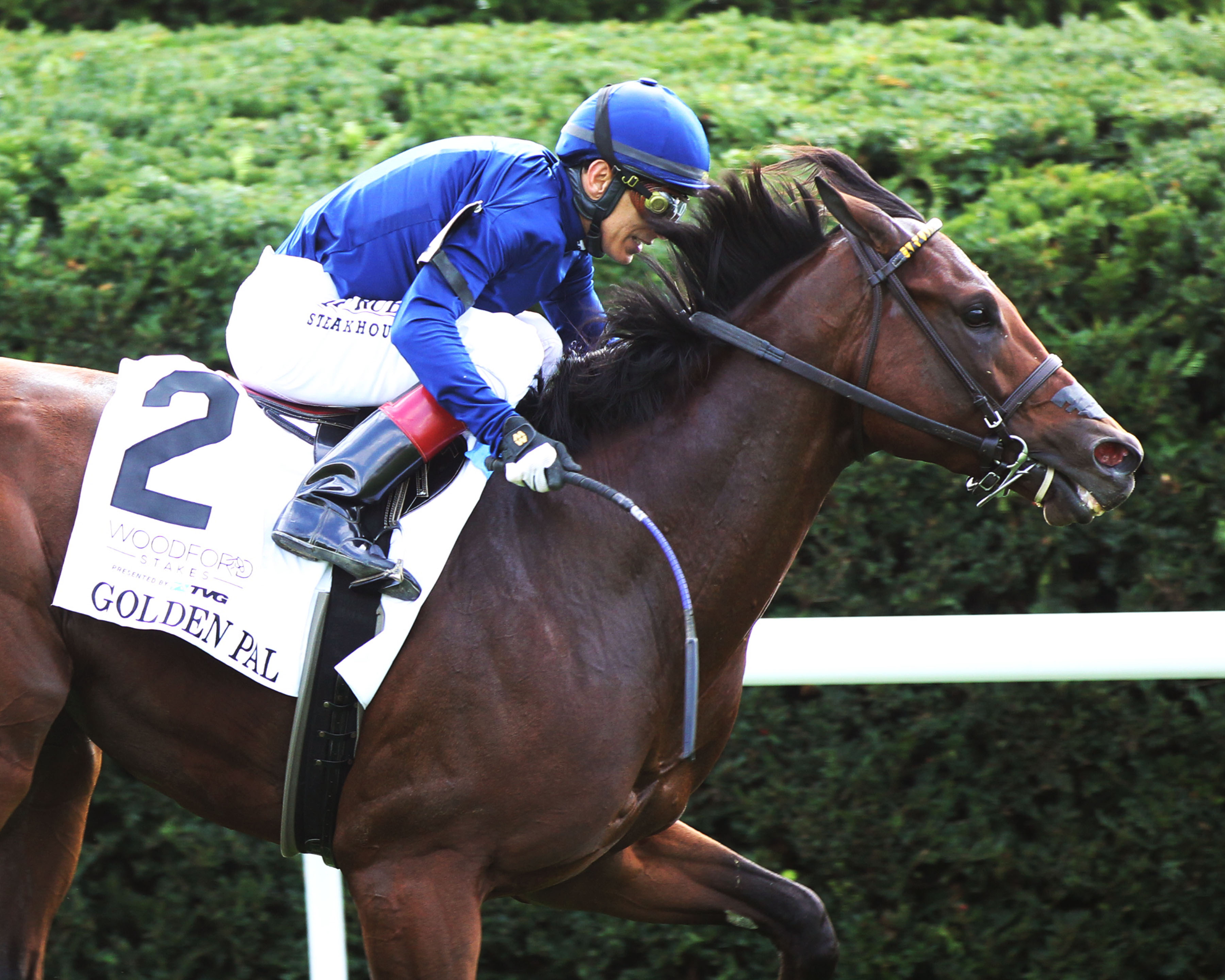 Golden Pal wins the Woodford.10-9-2021