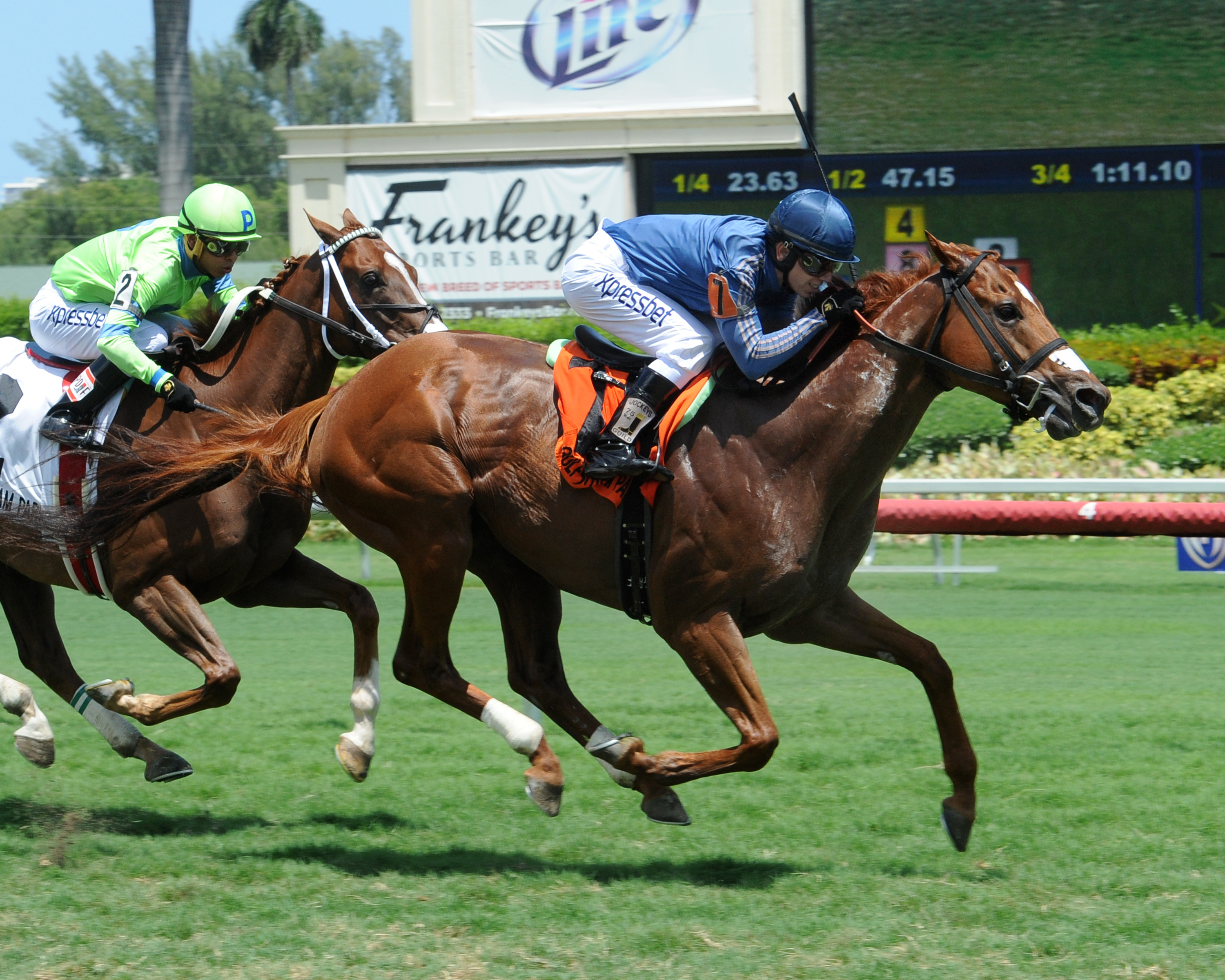 Golden Rifle wins 2015 Eight Miles East