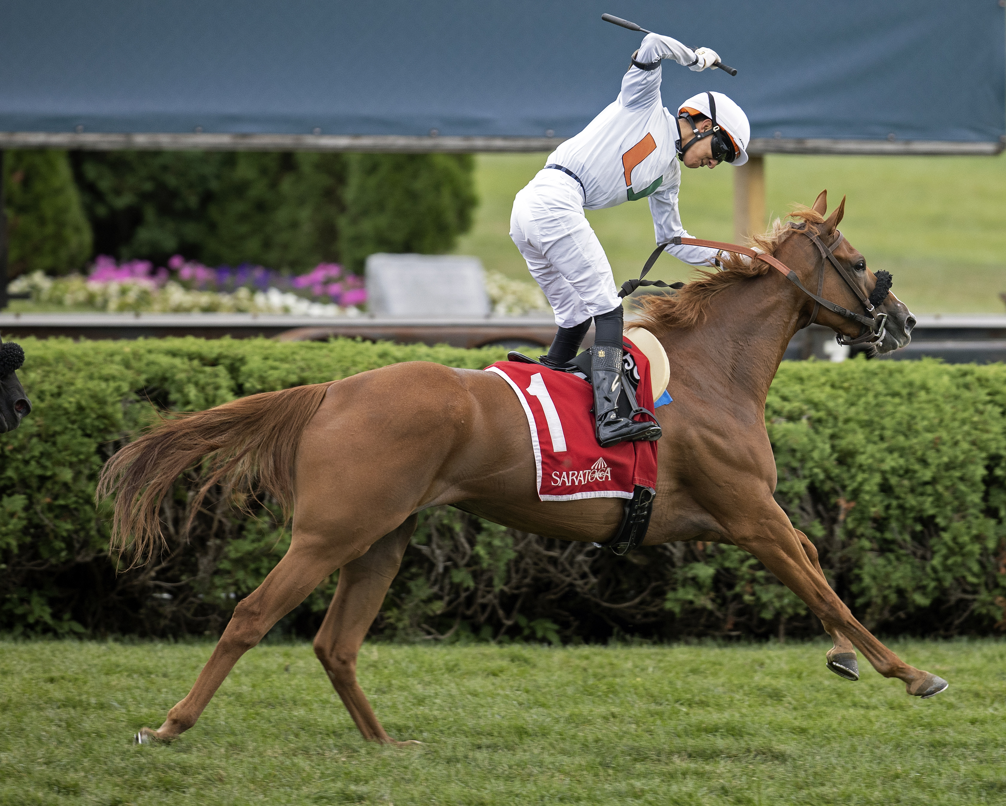 Golden Rocket and Jose Gomez win the Statue of Liberty division of the NYSS Aug 18 2022