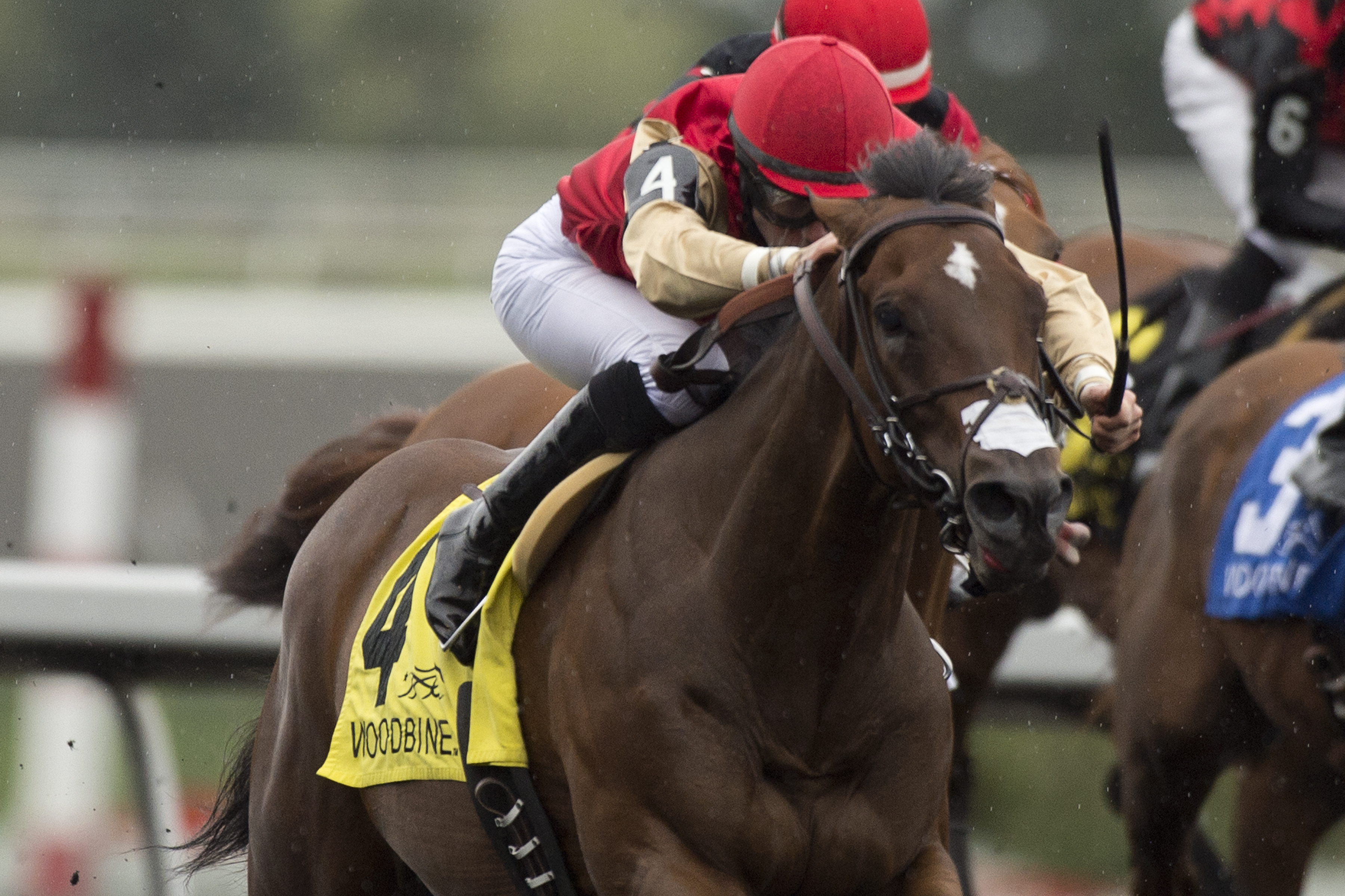 Golden Sabre 10-3-2015