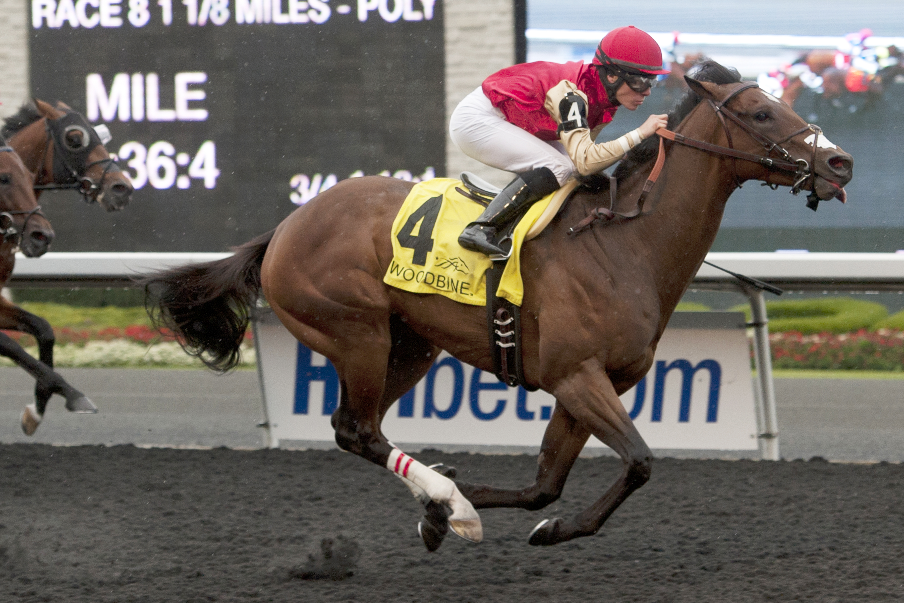 Golden Sabre wins the Durham Cup