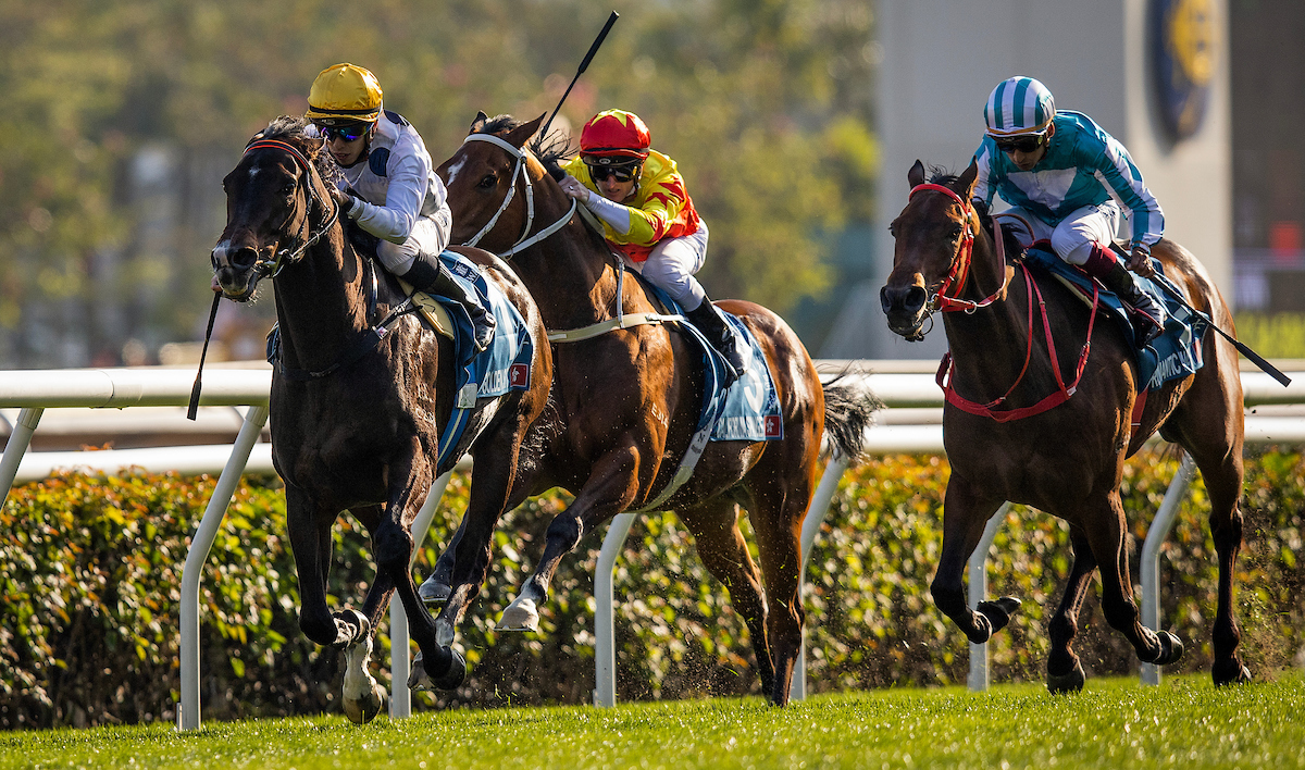 Golden Sixty, Stewards' Cup, Romantic Warrior (right), California Spangle (left)