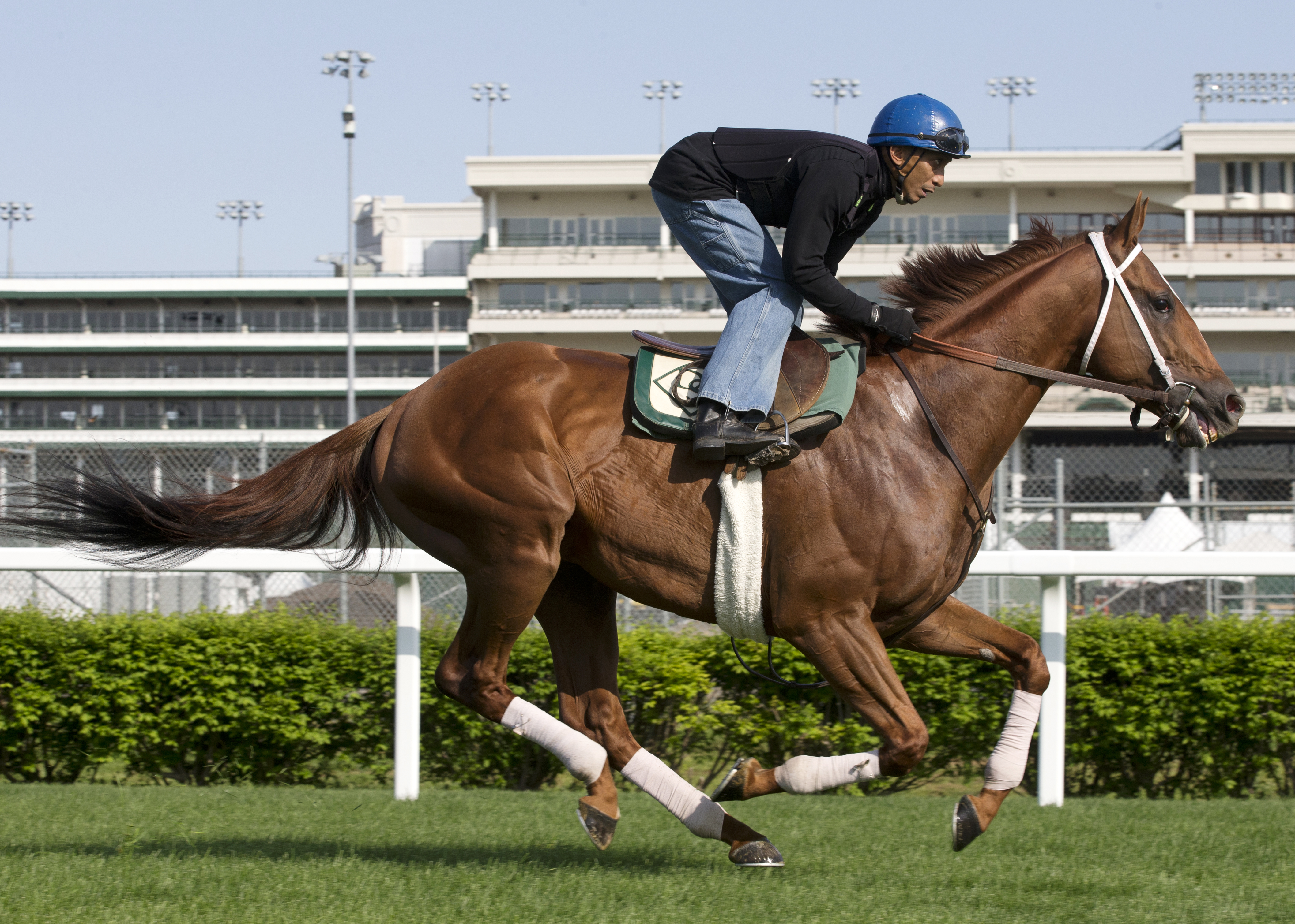 Golden Soul trains at Churchill