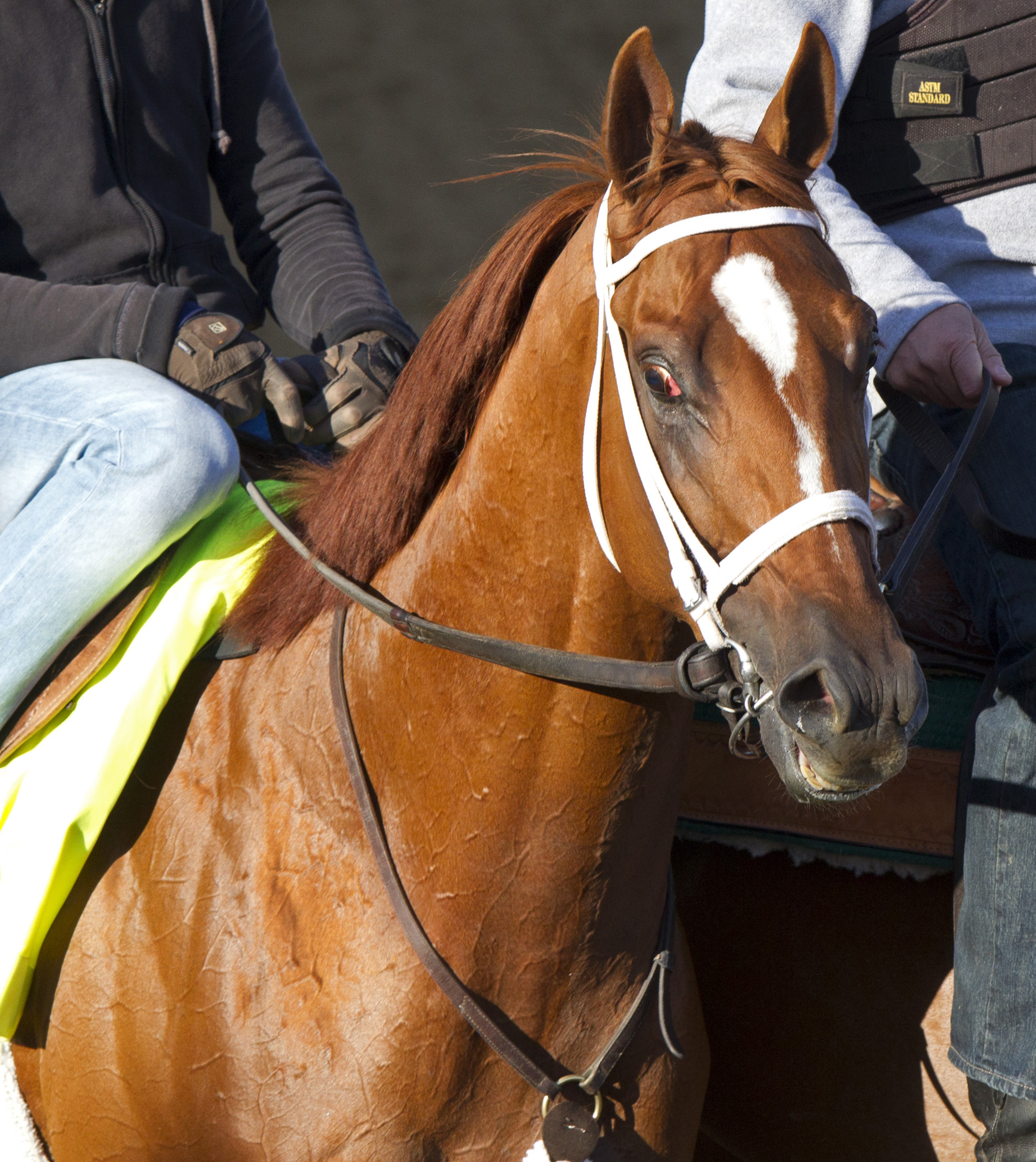 Belmont Stakes: Golden Soul has workout delayed