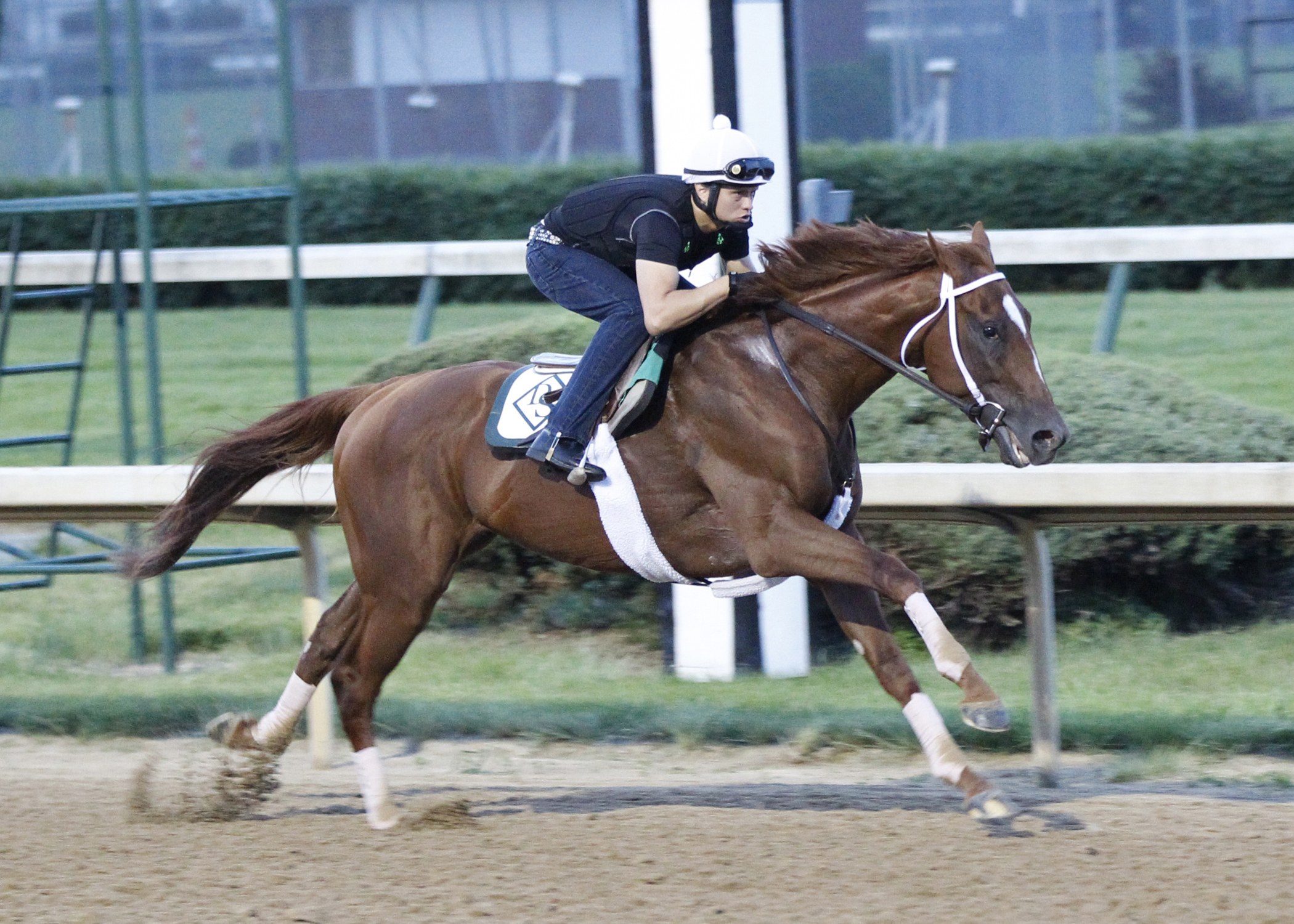 Golden Soul works at Churchill