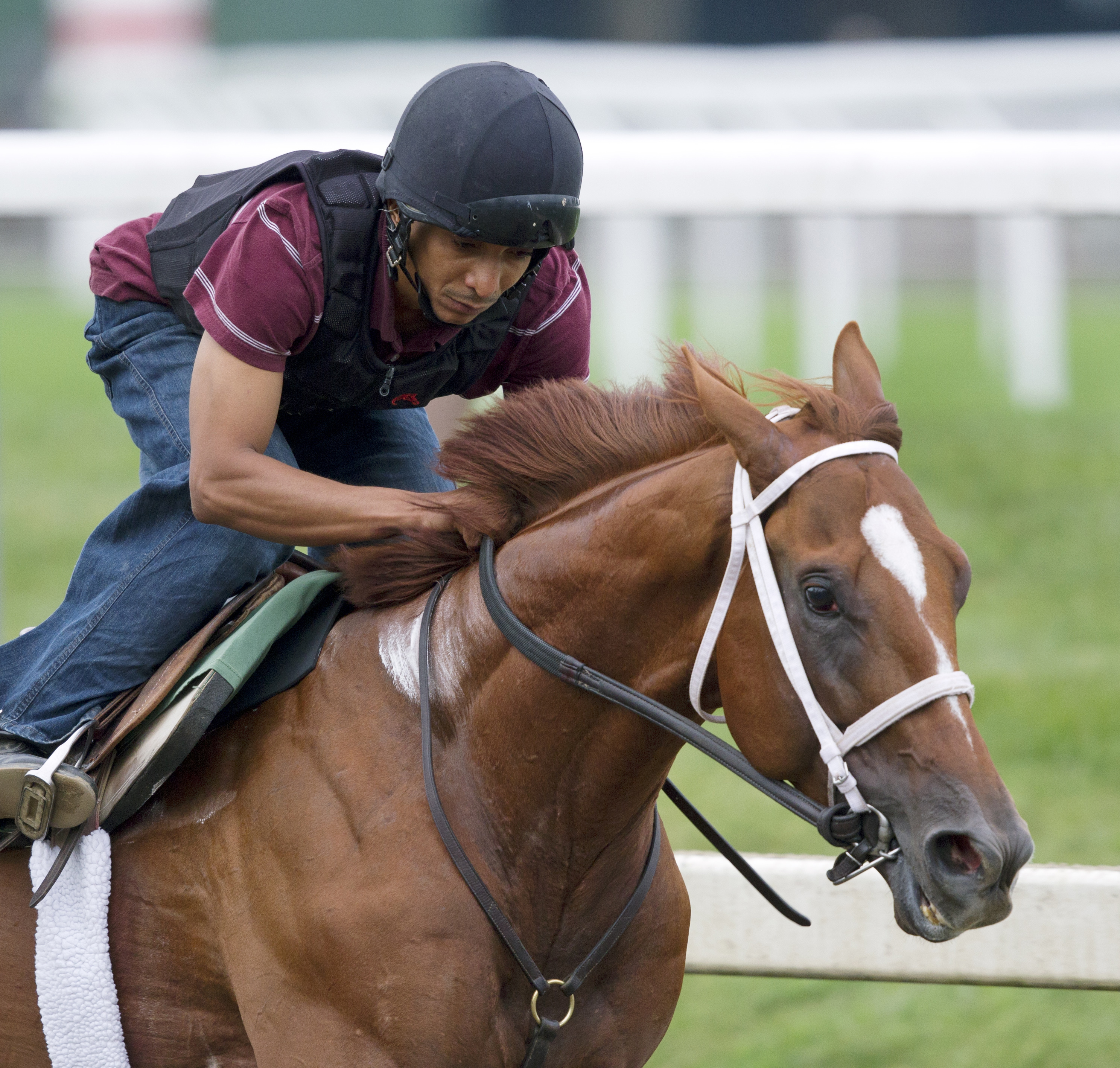 Golden Soul training at Saratoga