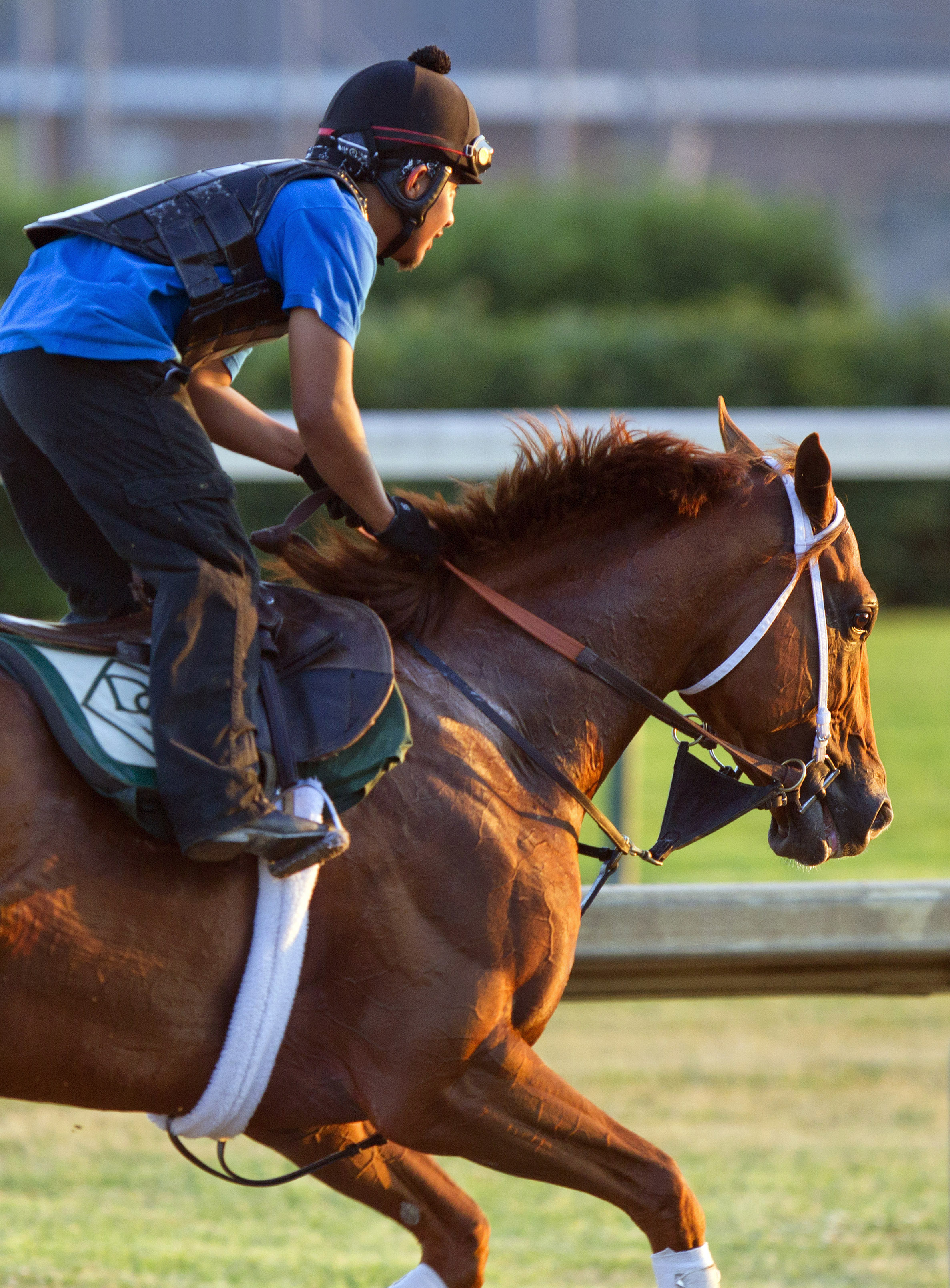 Golden Soul at Churchill in June