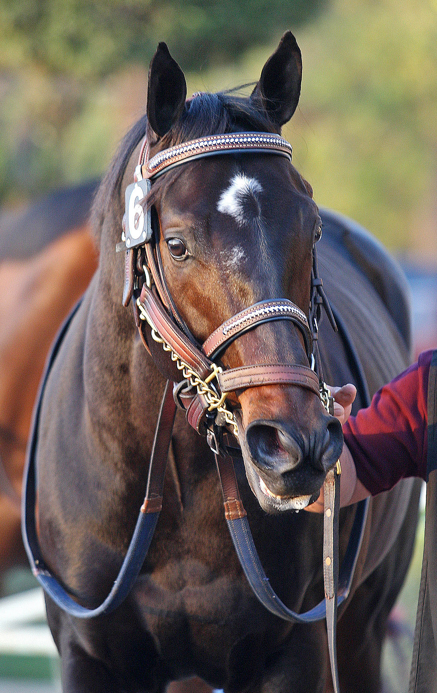 Golden Ticket 11-25-2012