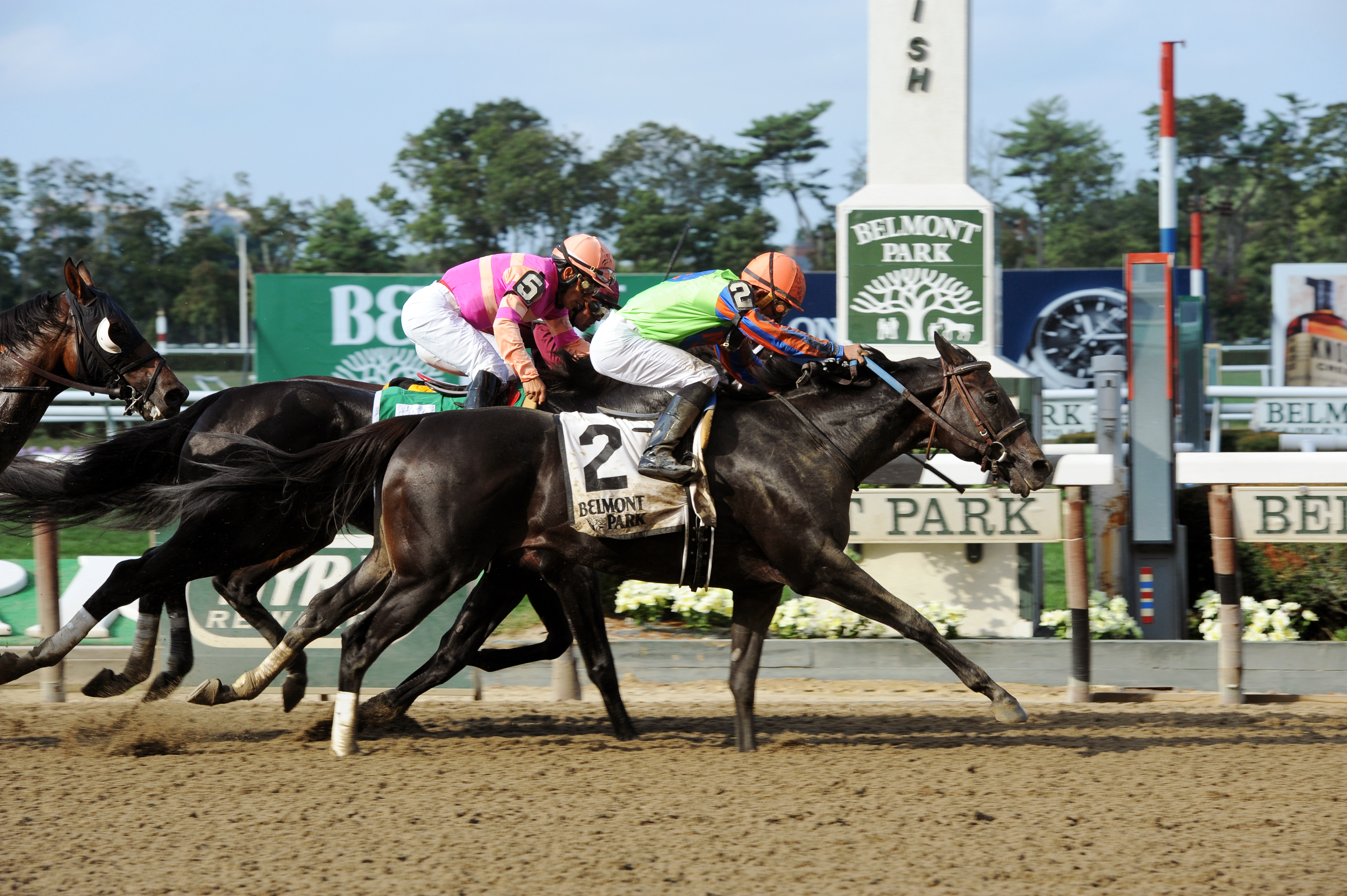 Golden Ticket wins the Left Bank