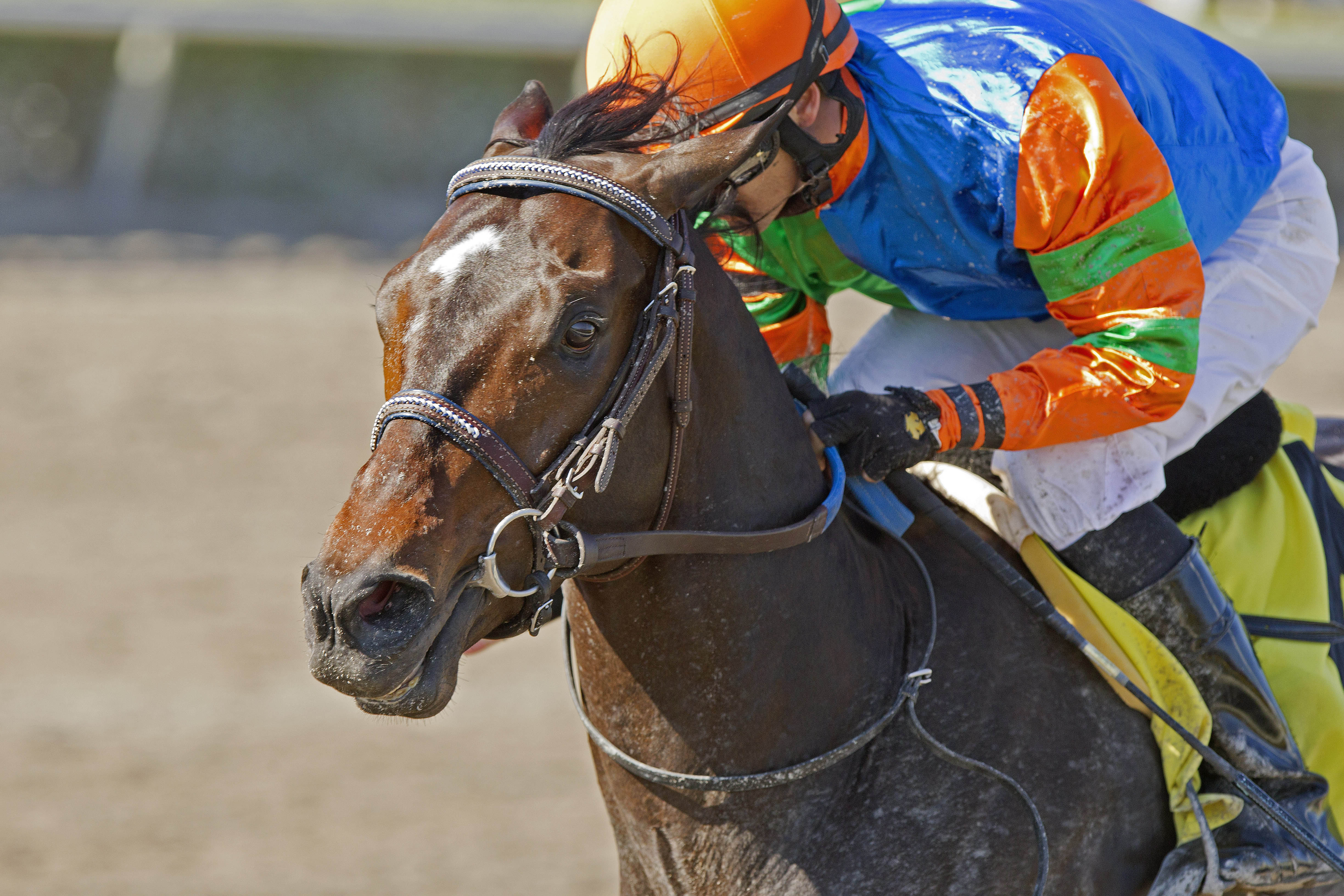Golden Ticket, allowance race