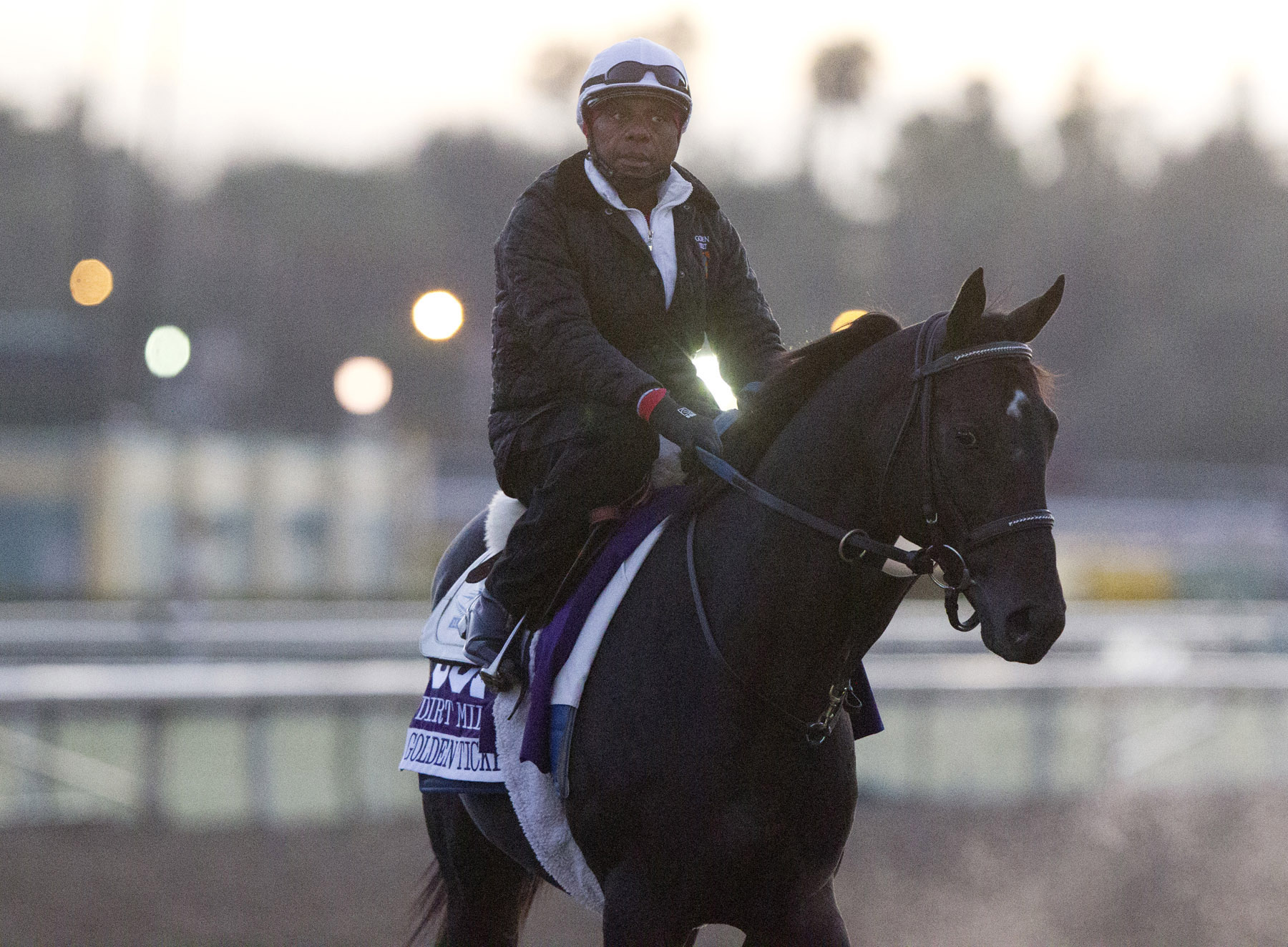 Golden Ticket, Oct. 29, 2013