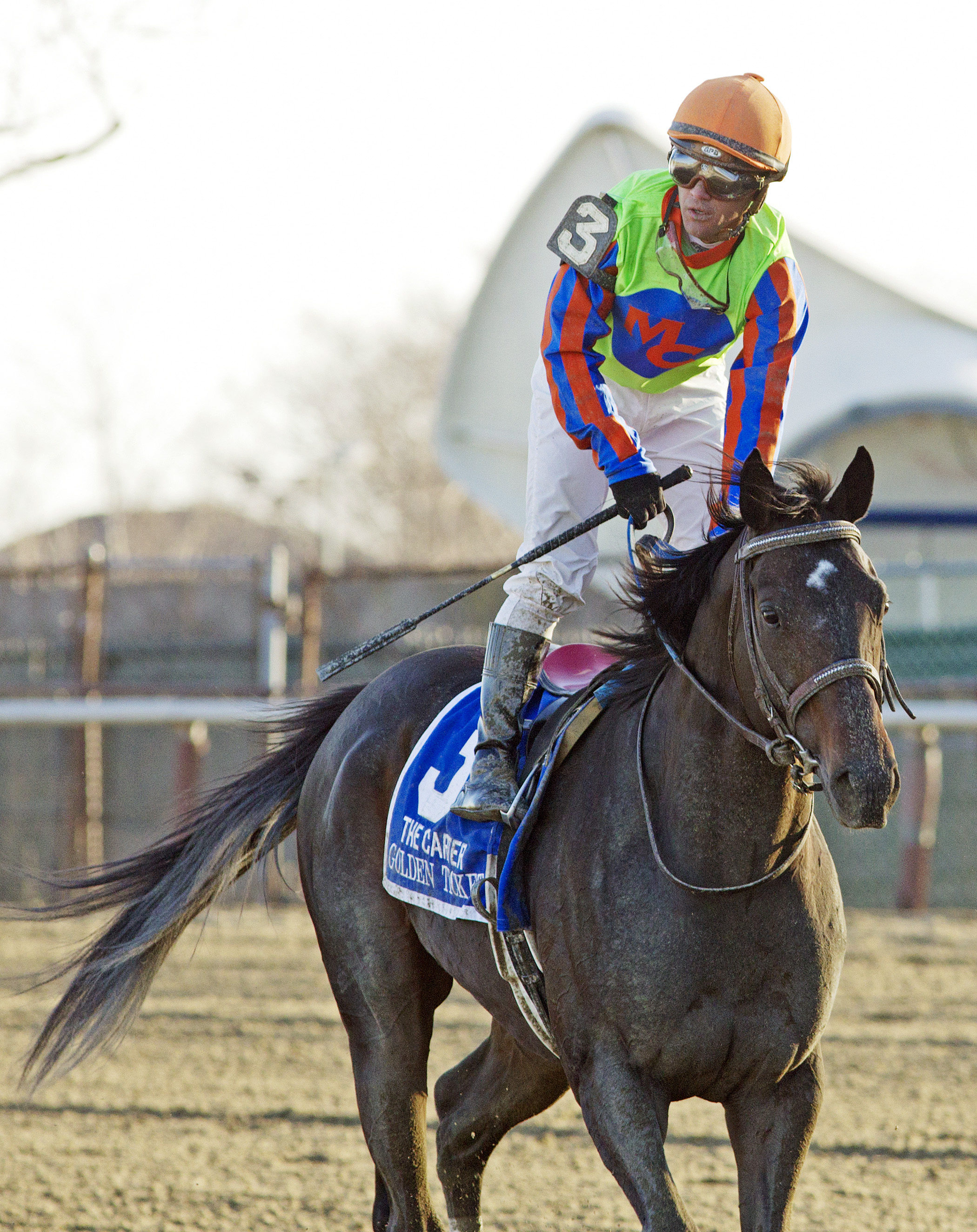 Golden Ticket finishes fourth in the Carter Handicap