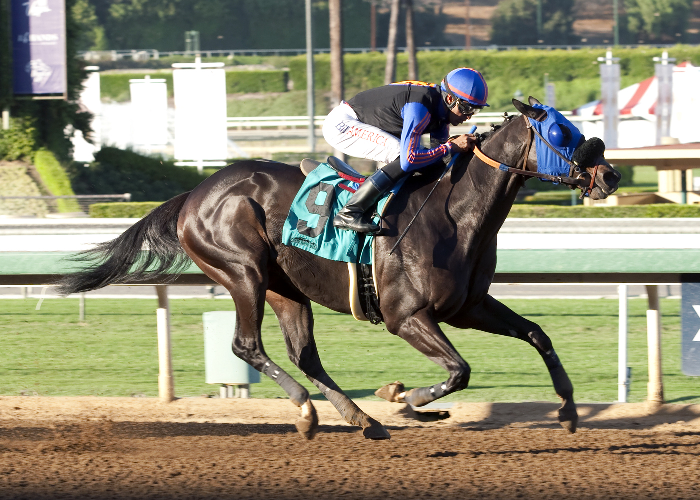 Golden Triumph wins a claiming race