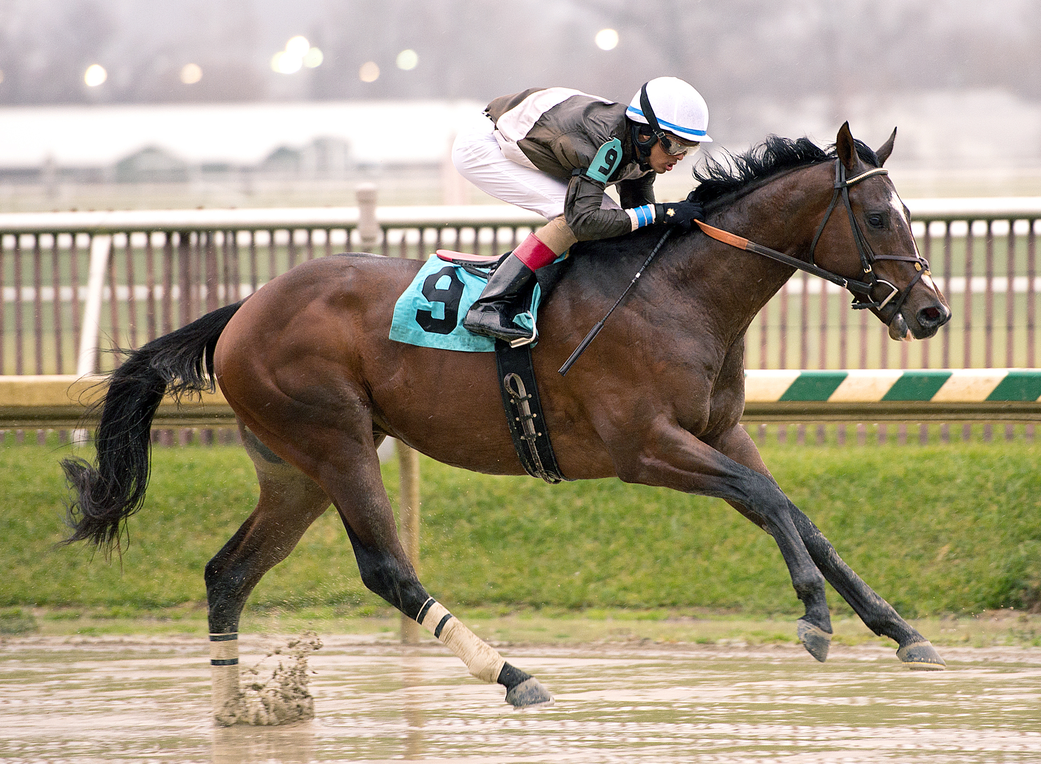 Golden Years wins the Marylander Stakes