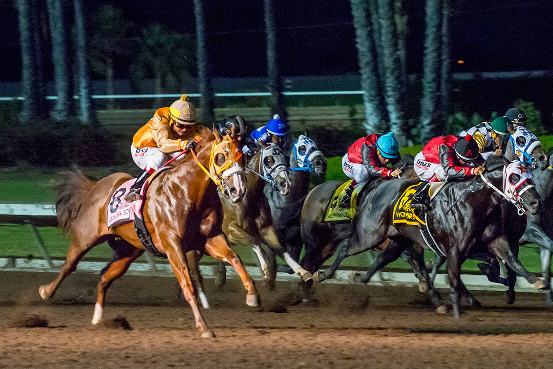 Golden Boi wins the Ed Burke Million Futurity at Los Alamitos