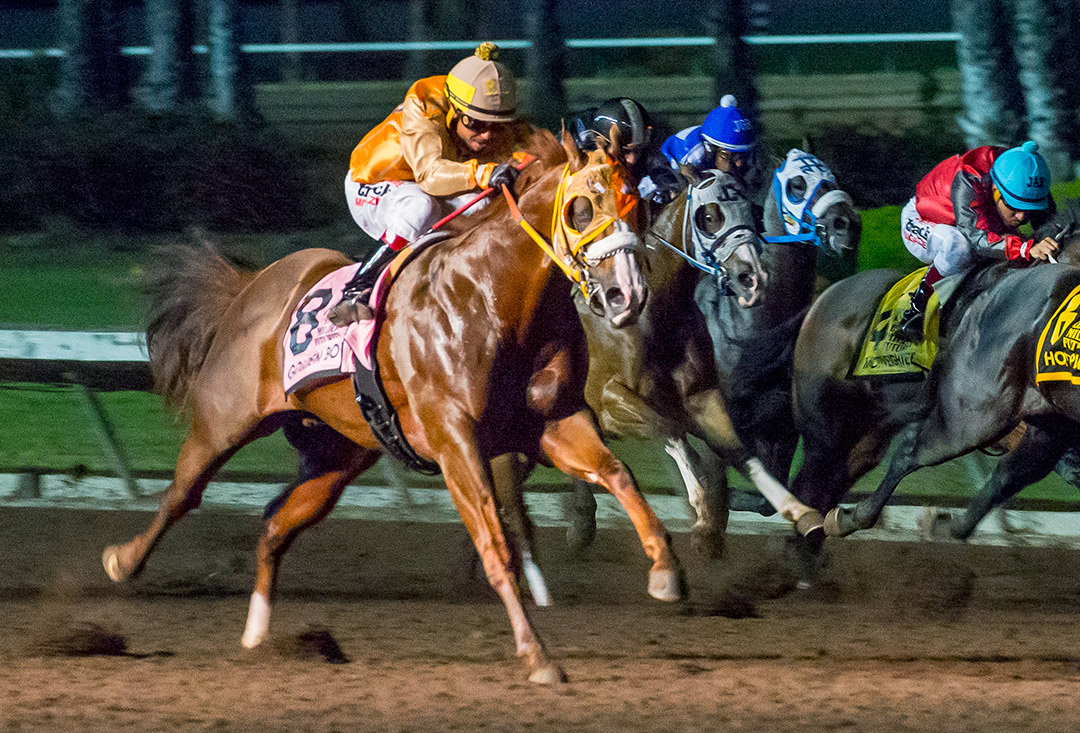 Golden Boi wins the 2021 Ed Burke Million Futurity at Los Alamitos Race Course