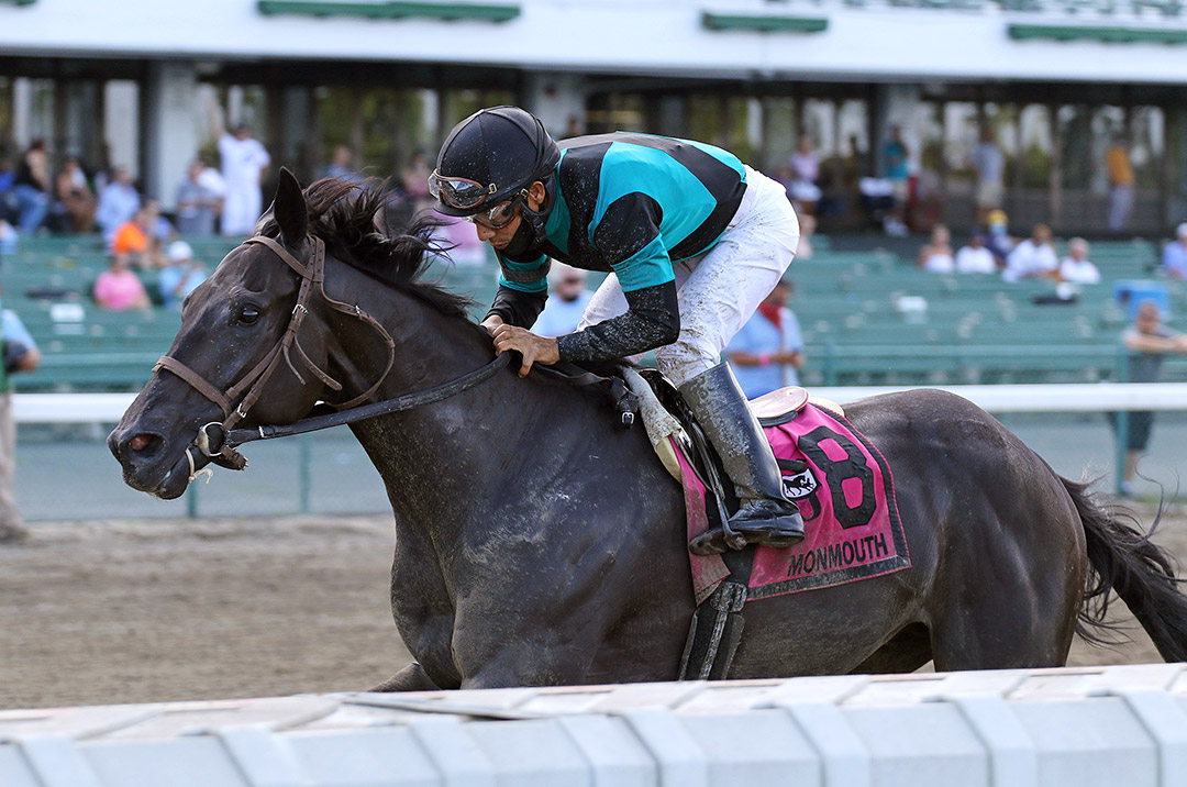 Golden Brown wins the 2020 Irish War Cry Handicap at Monmouth Park