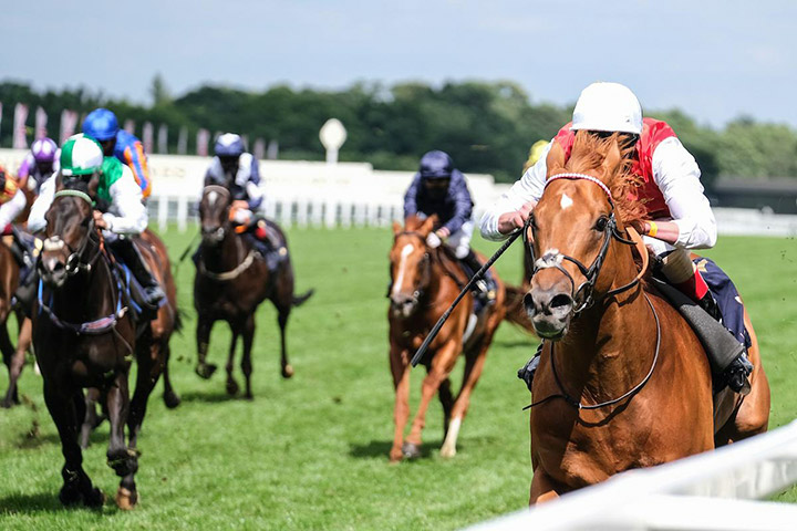 Golden Horde wins the 2020 Commonwealth Cup at Royal Ascot