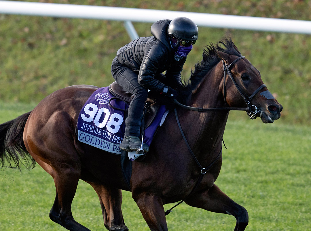 Golden Pal trains at Keeneland on Oct. 31