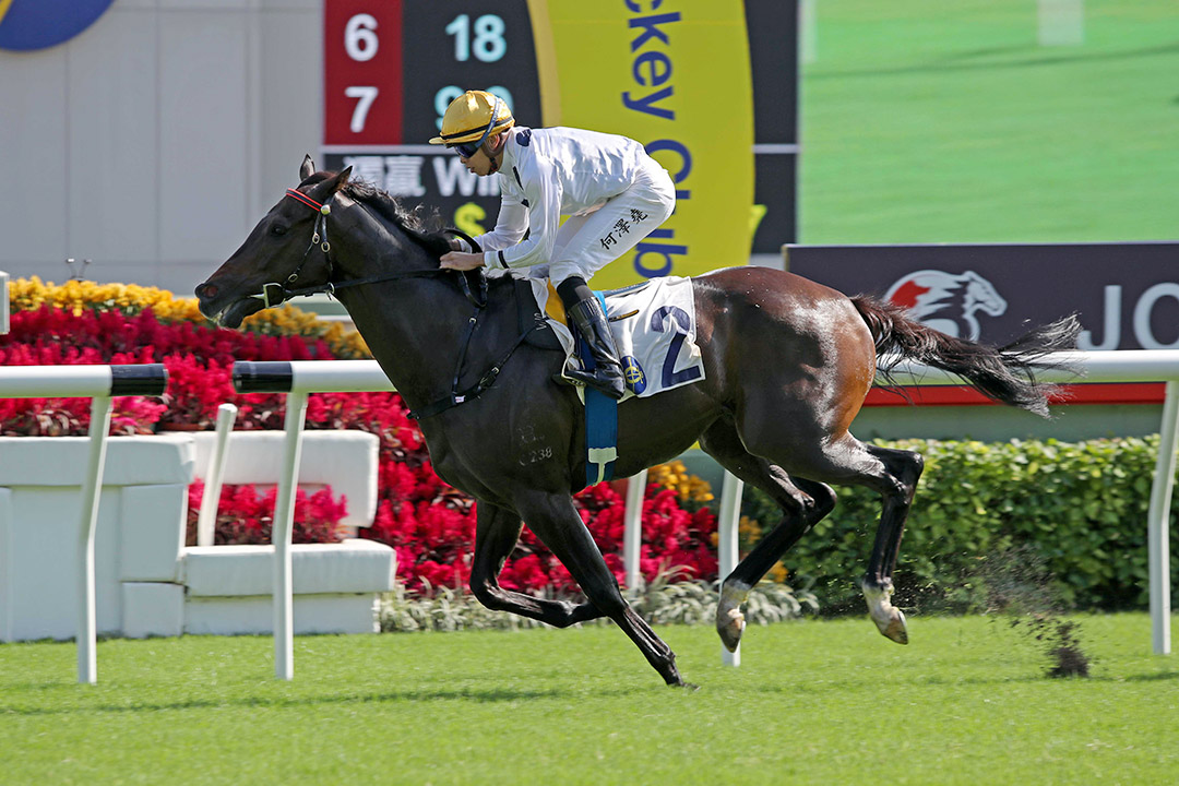 Golden Sixty wins the 2020 Hong Kong Jockey Club Mile at Sha Tin