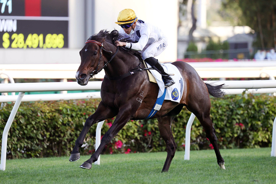 Golden Sixty wins the 2022 Chairman's Trophy at Sha Tin Racecourse