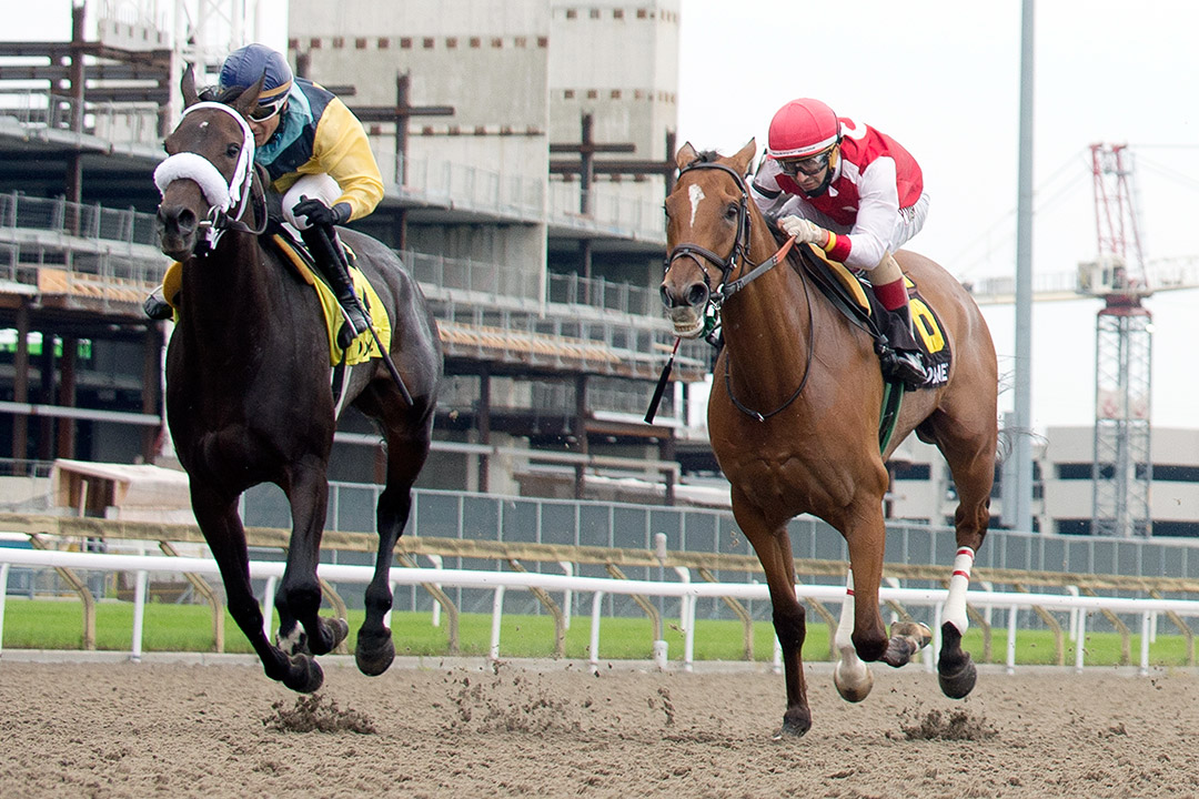 Summer Sunday (right) finishes second in the 2021 Ballade Stakes at Woodbine